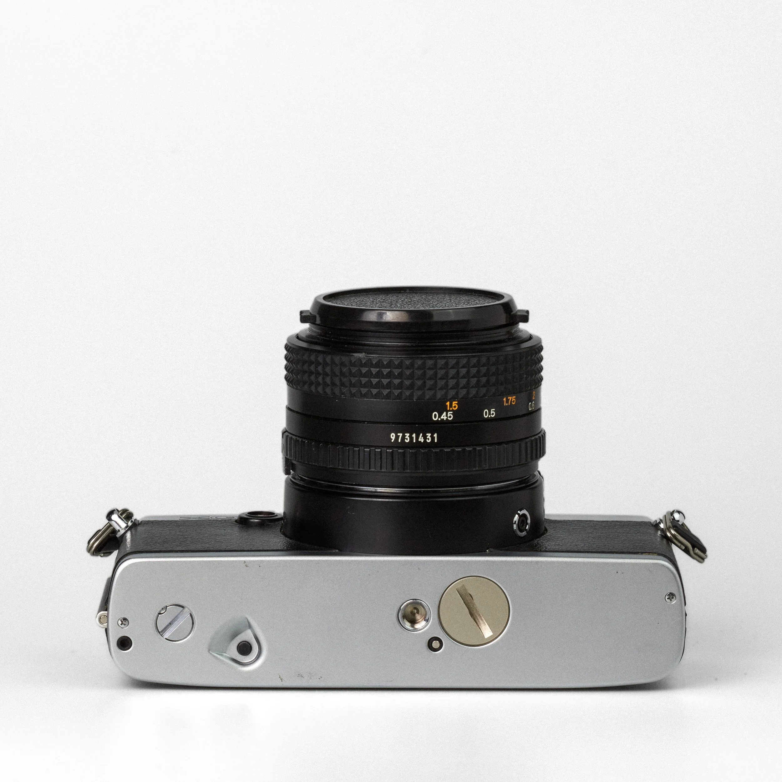 Carmencita cameras3641.jpg