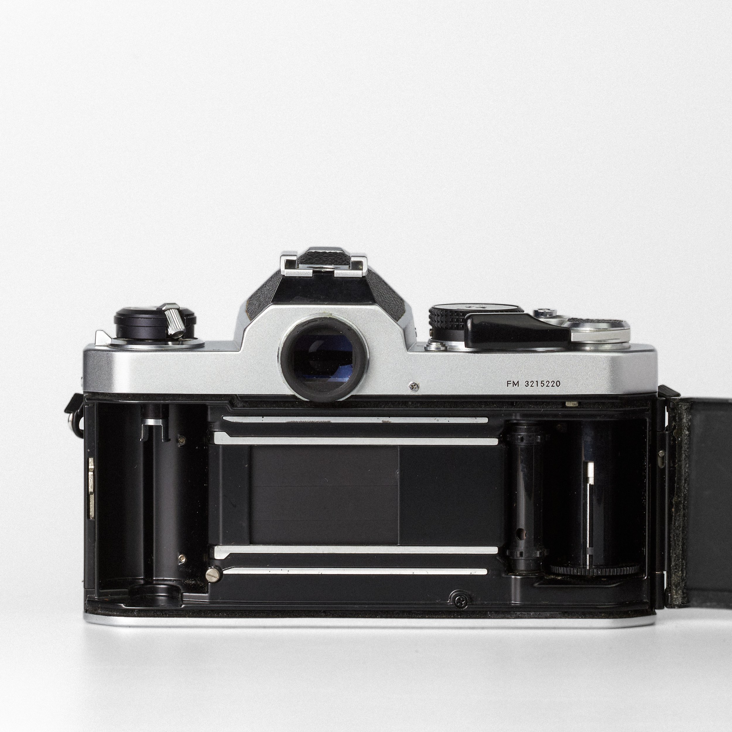 Carmencita cameras4619.jpg