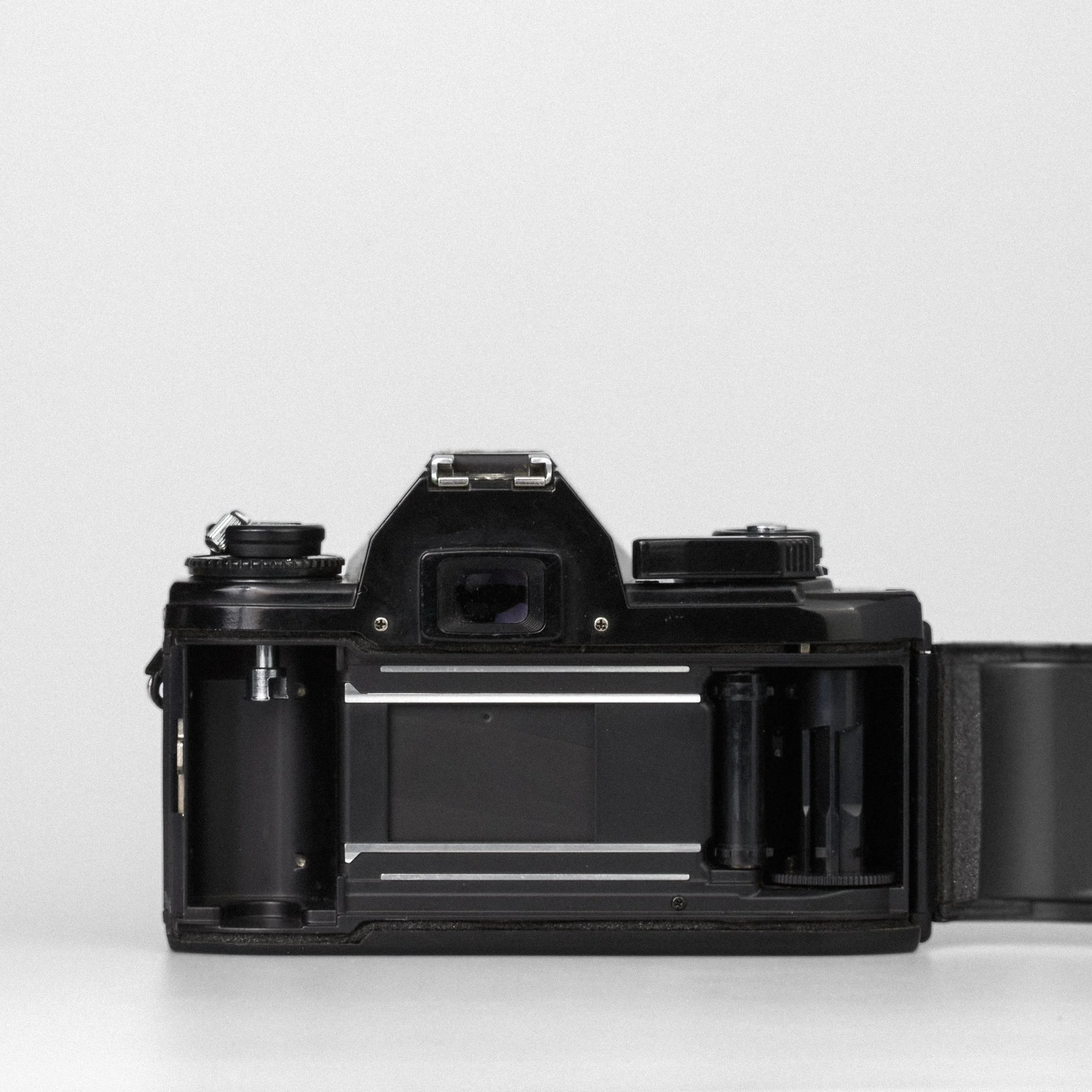 Carmencita cameras1252.jpg