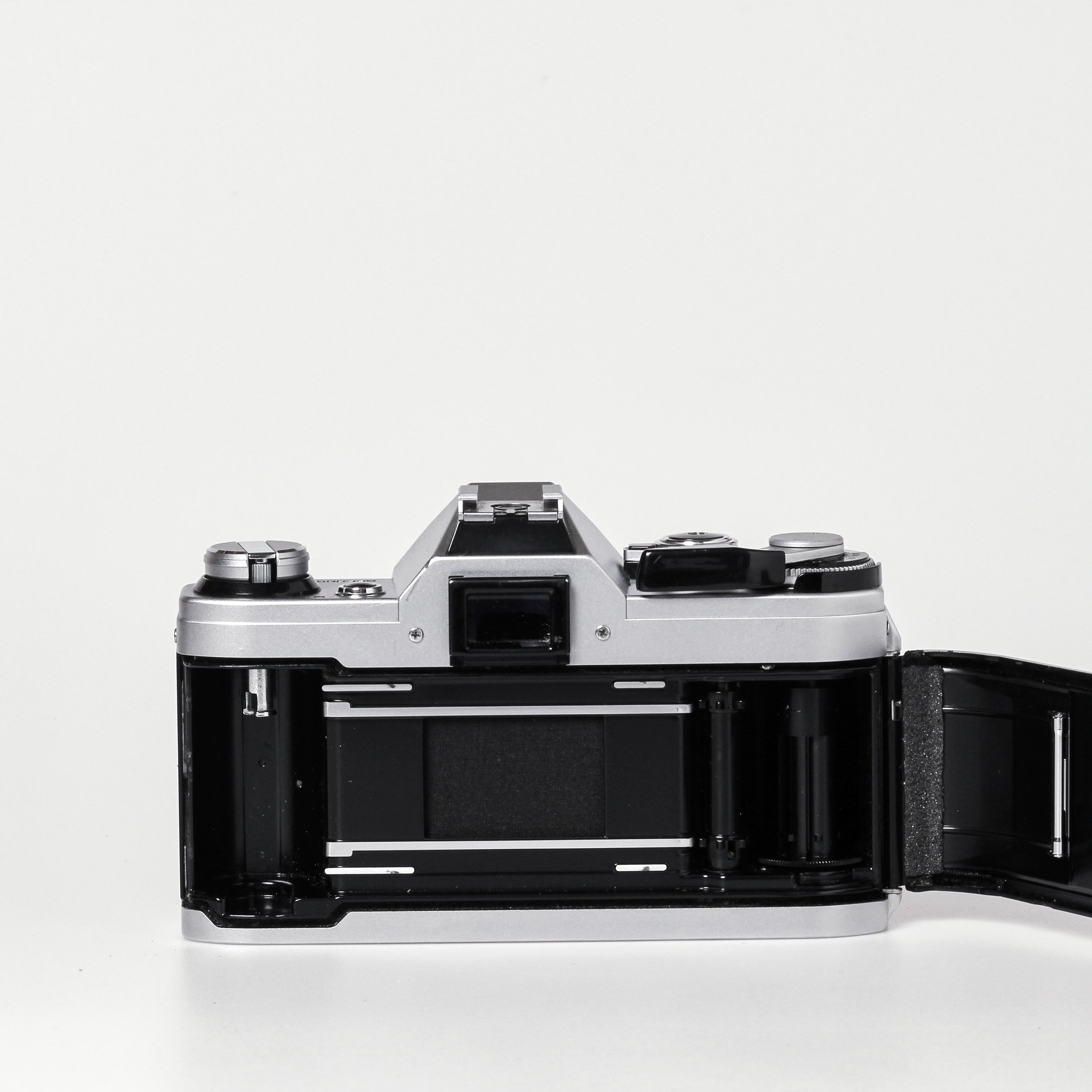 Carmencita cameras0559.jpg