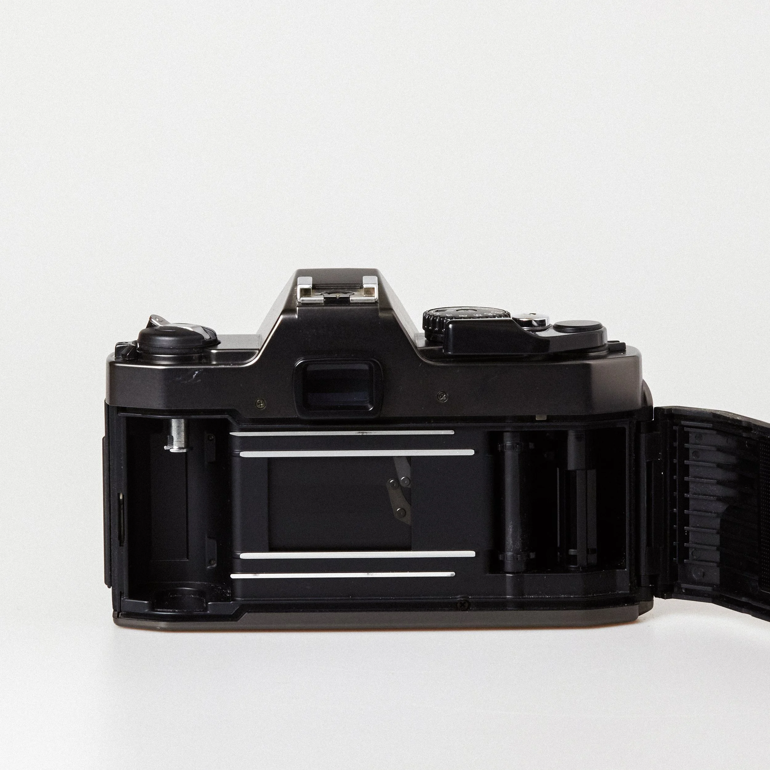 Carmencita cameras0549.jpg