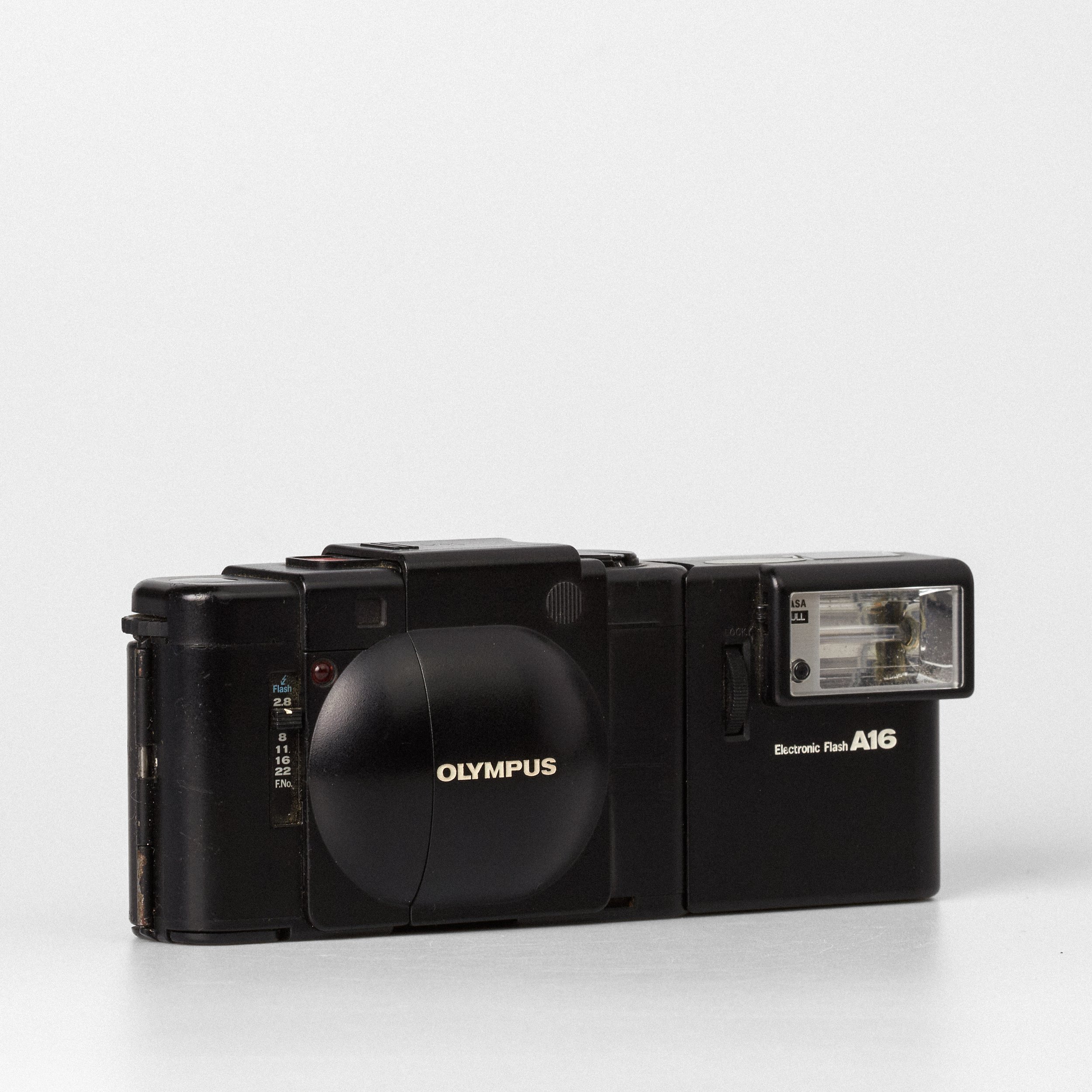 Carmencita cameras2544.jpg