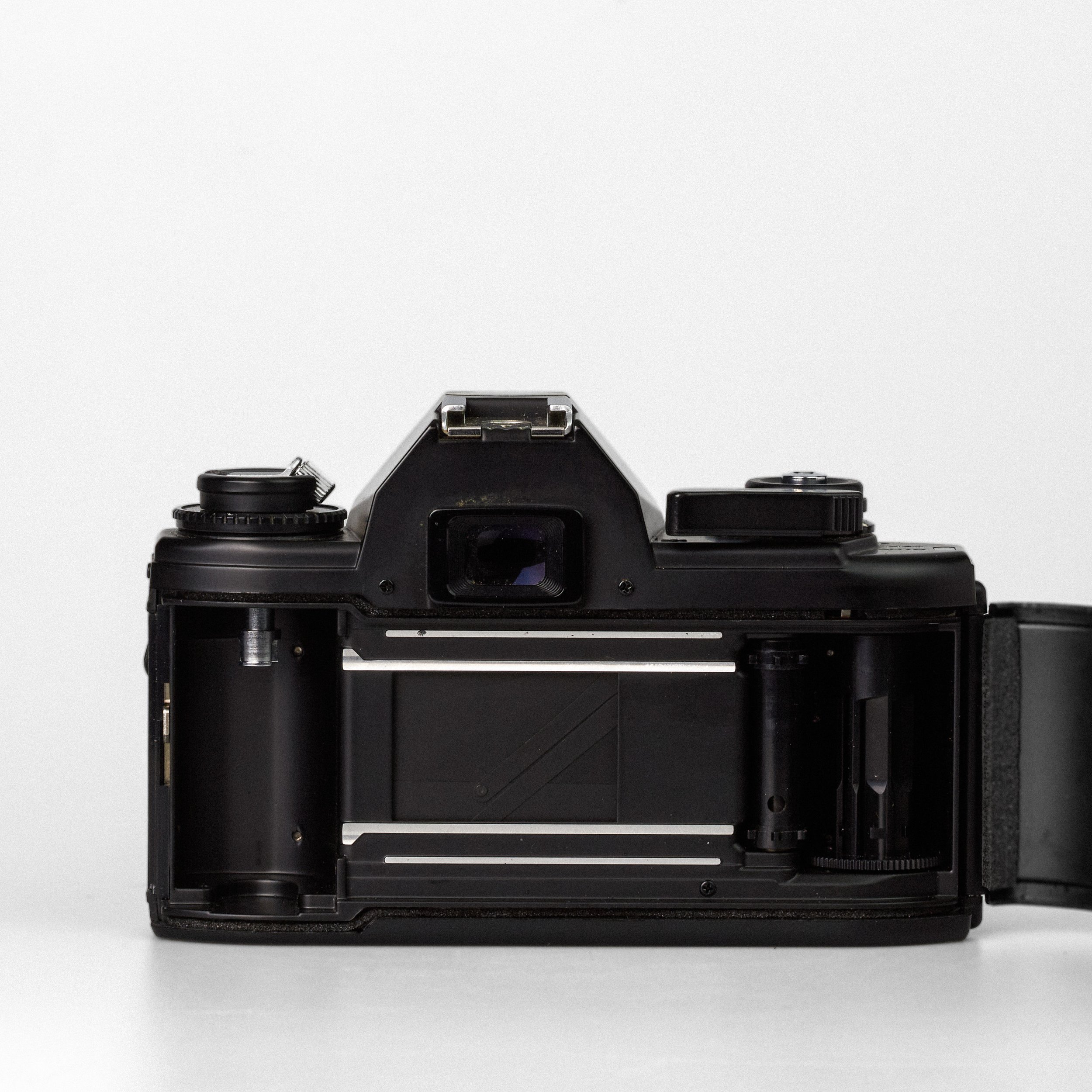 Carmencita cameras3586.jpg