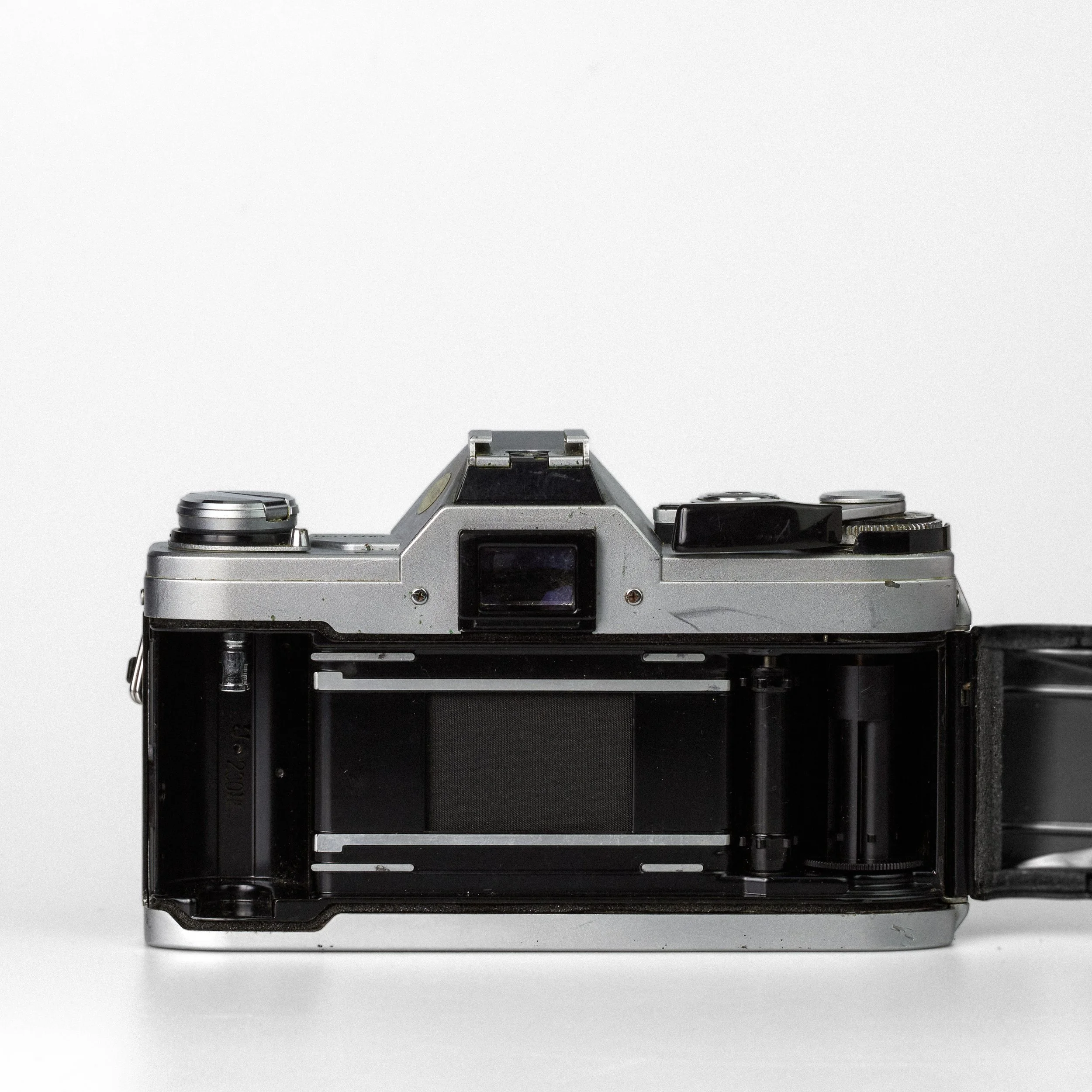 Carmencita cameras3687.jpg