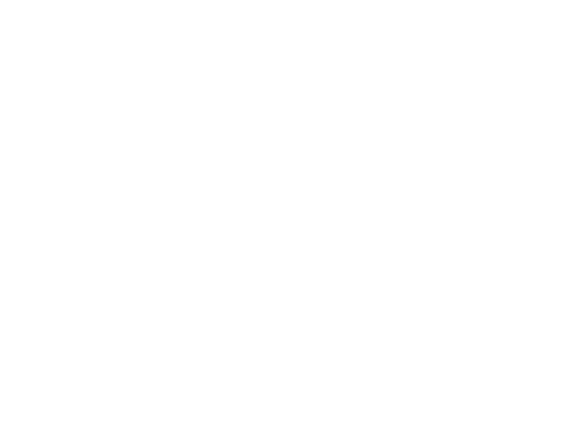 The 4.2.20 Foundation