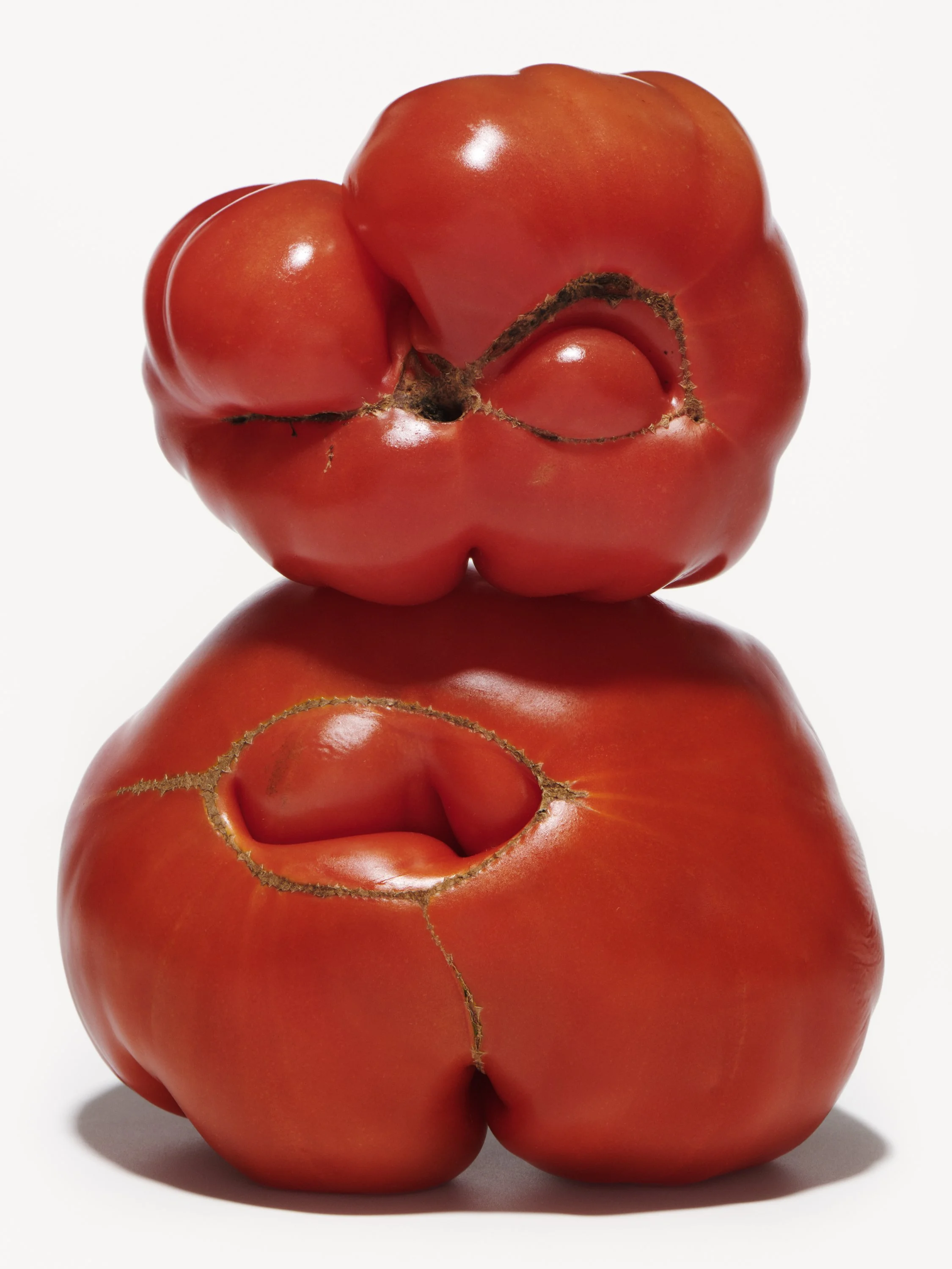 STEIRERECK - TOMATOES