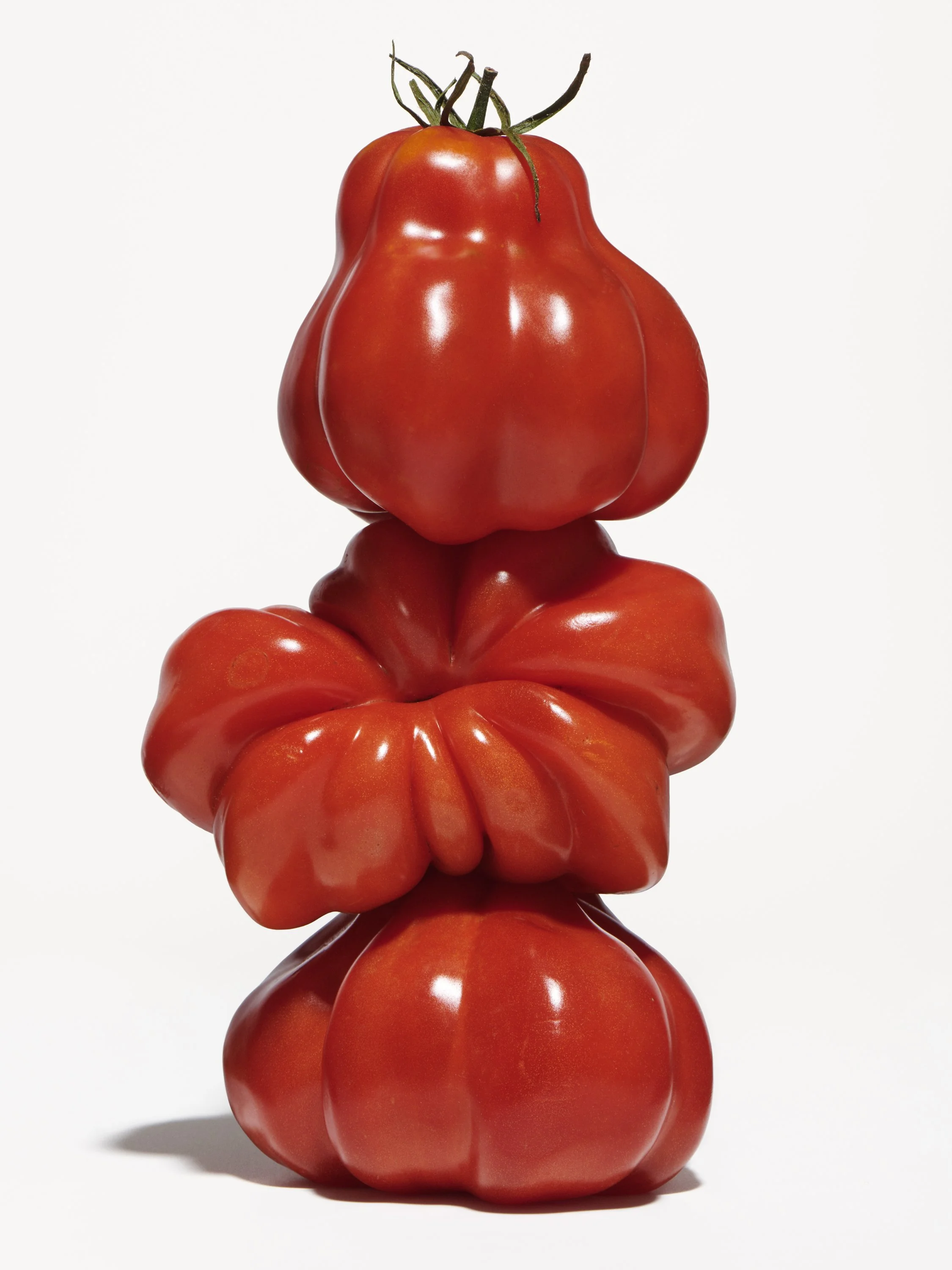 STEIRERECK - TOMATOES