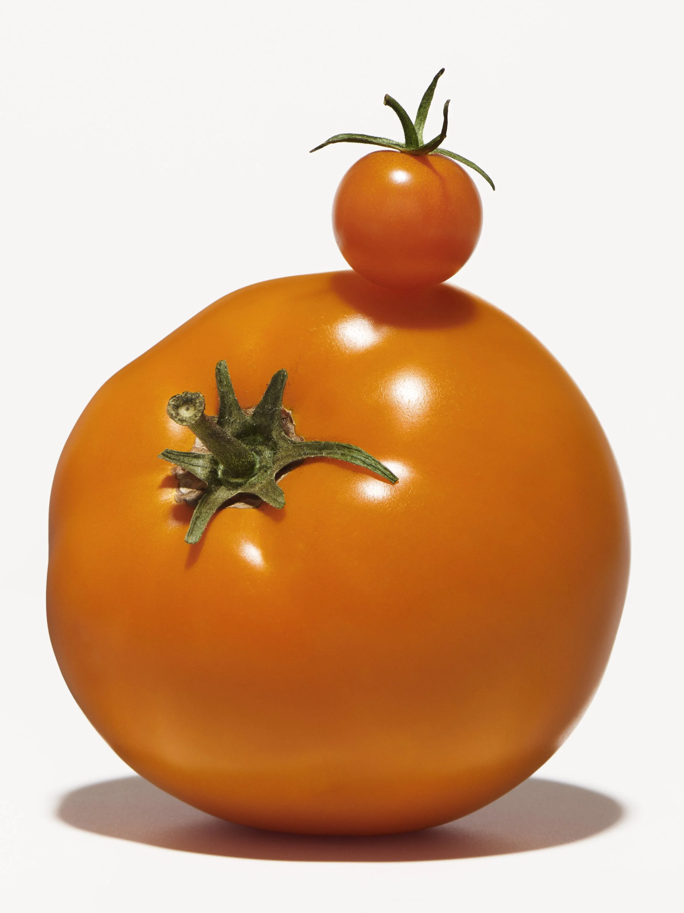 STEIRERECK - TOMATOES