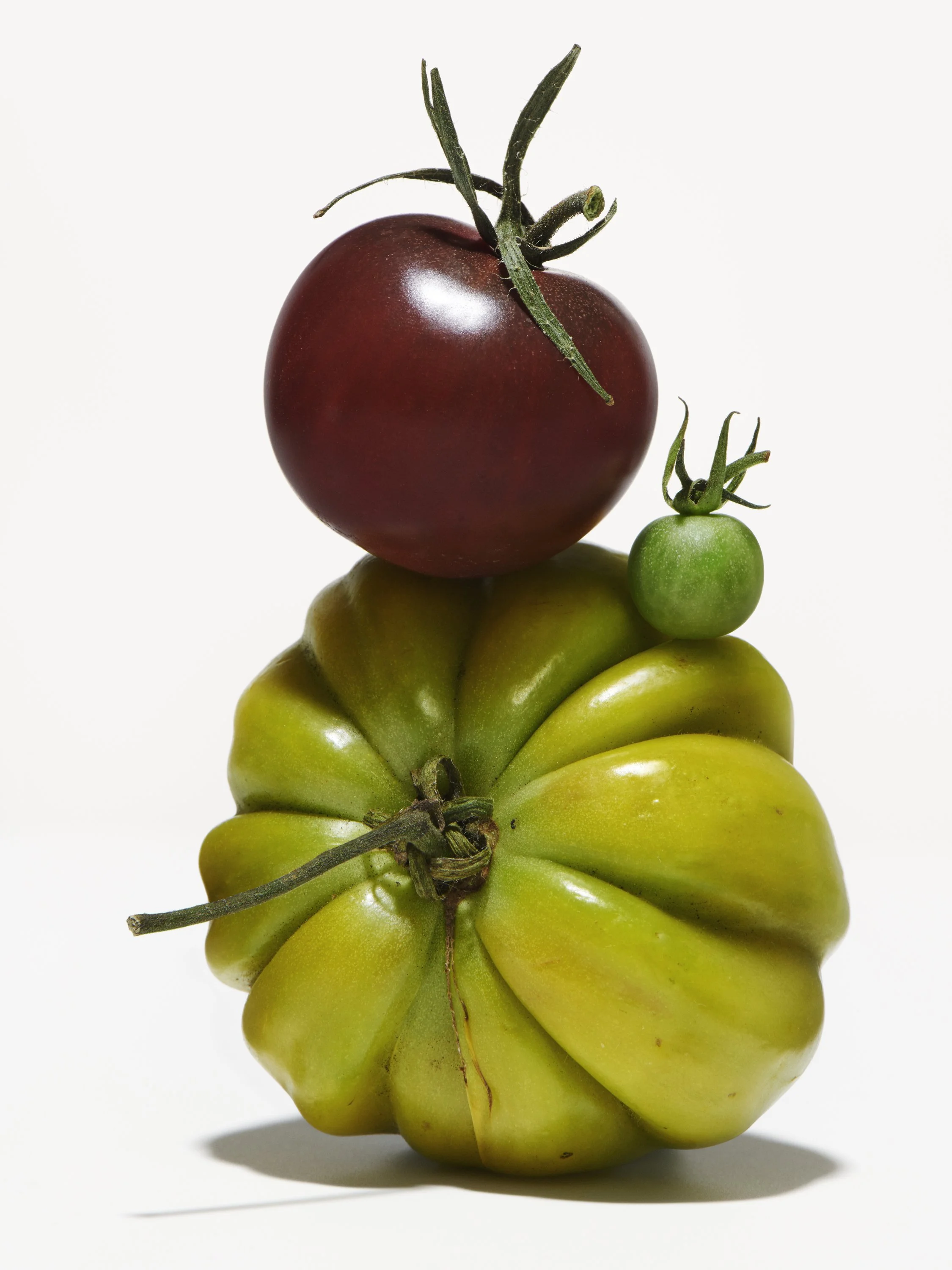 STEIRERECK - TOMATOES