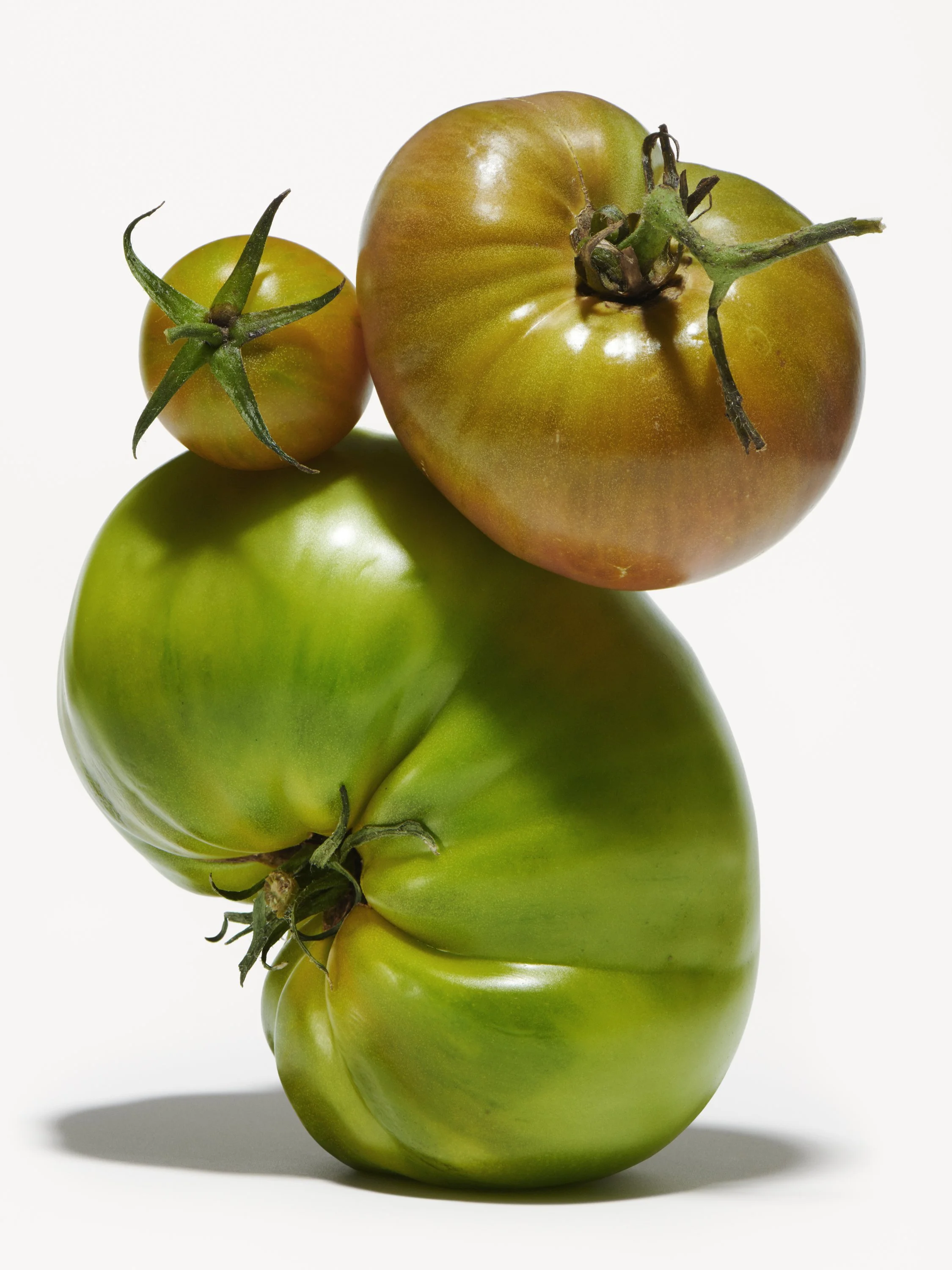 STEIRERECK - TOMATOES