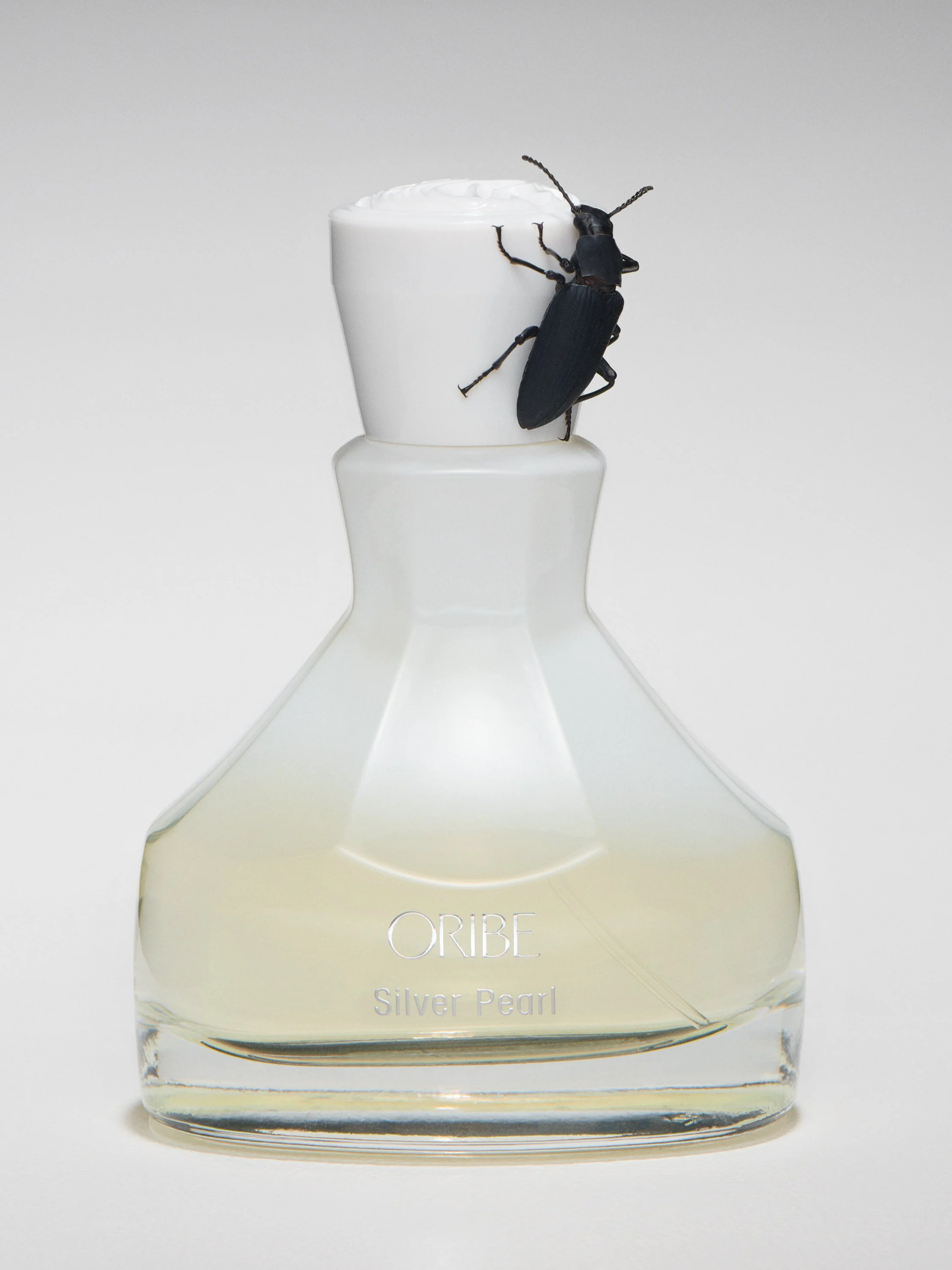 FRAGRANCE BEETLE