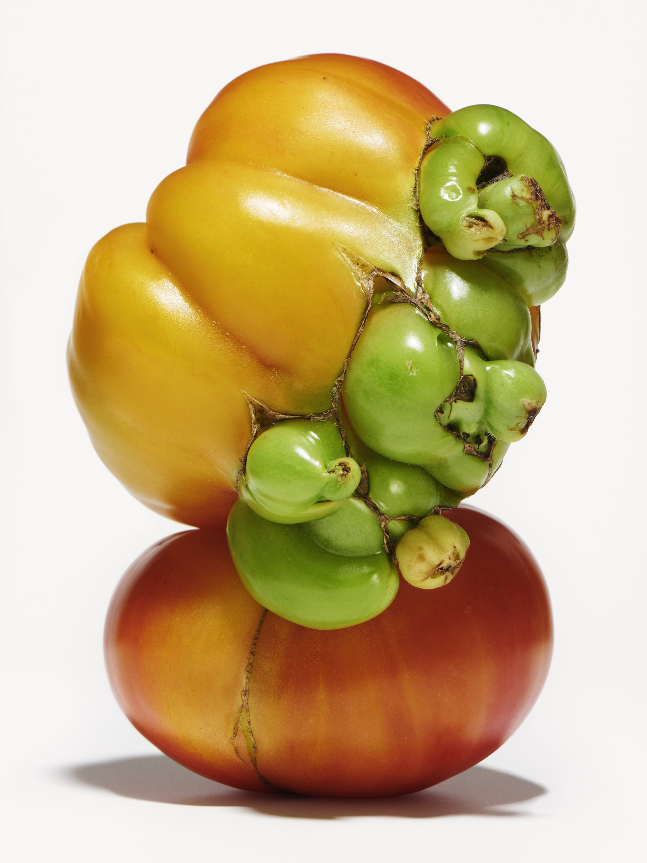 STEIRERECK - TOMATOES