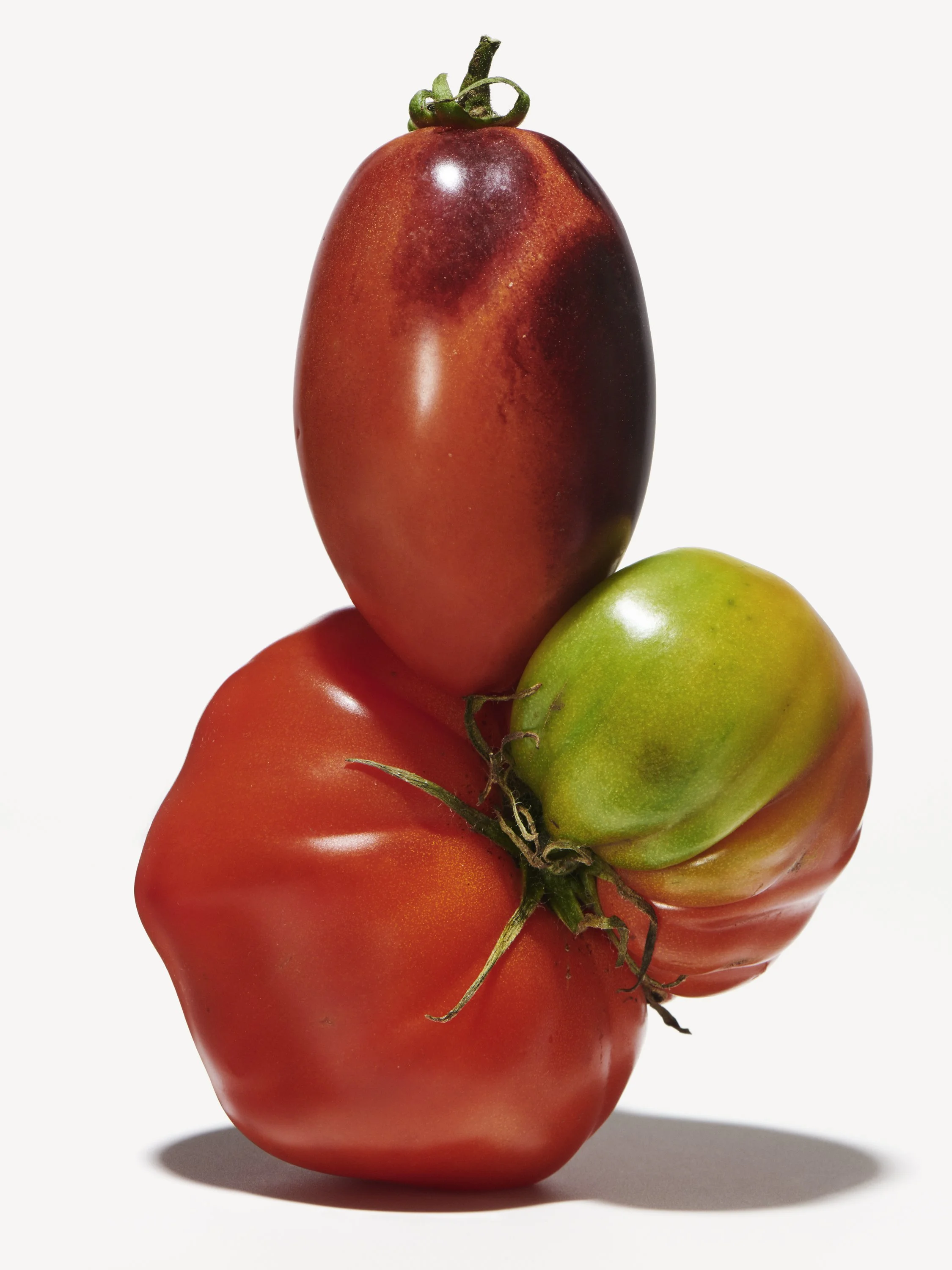 STEIRERECK - TOMATOES