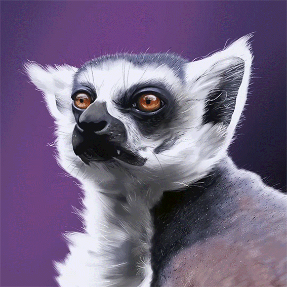 Final-Lemur_Web_sml.gif