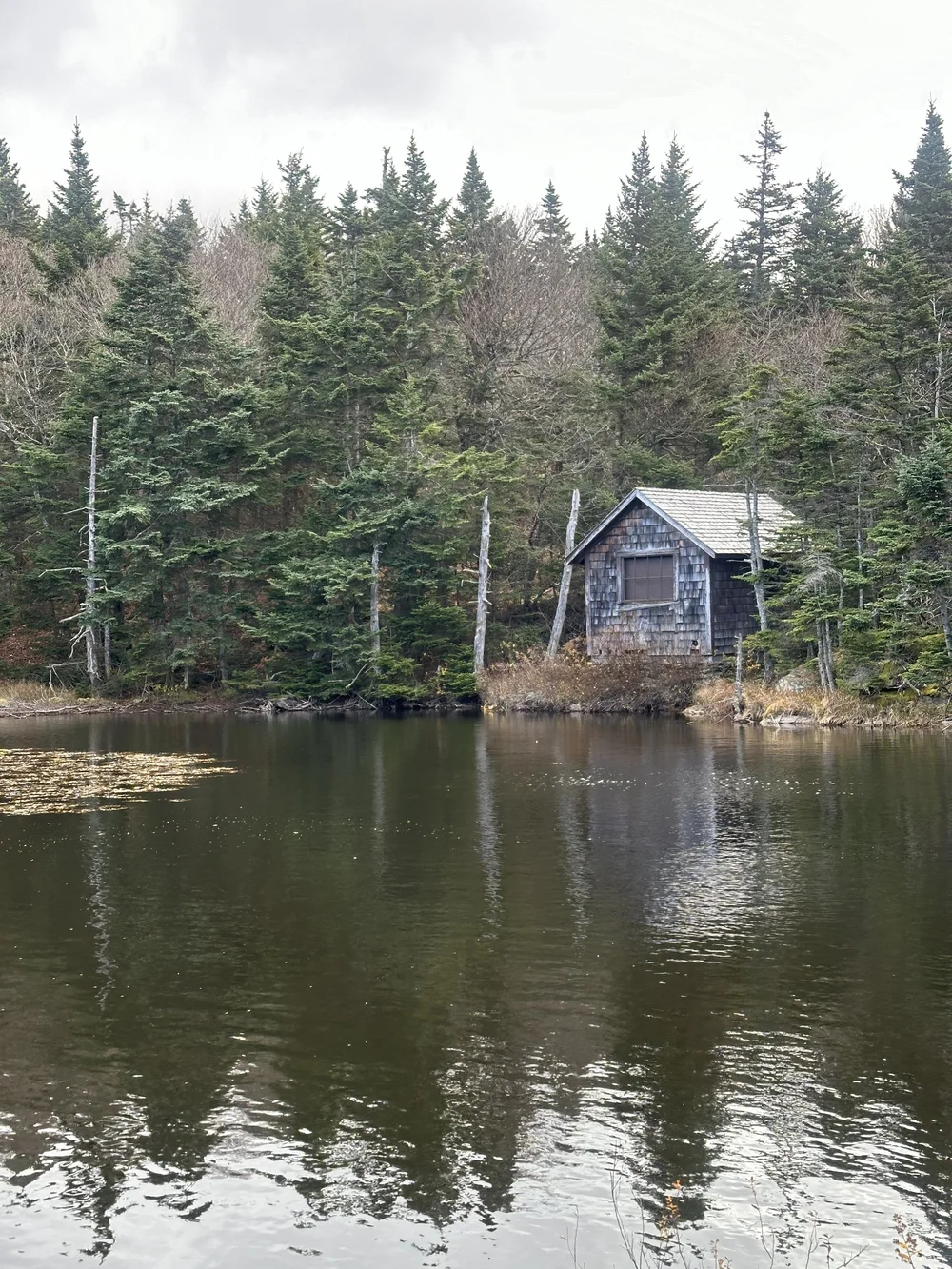 Cabin at pond near Mt. Greylock
