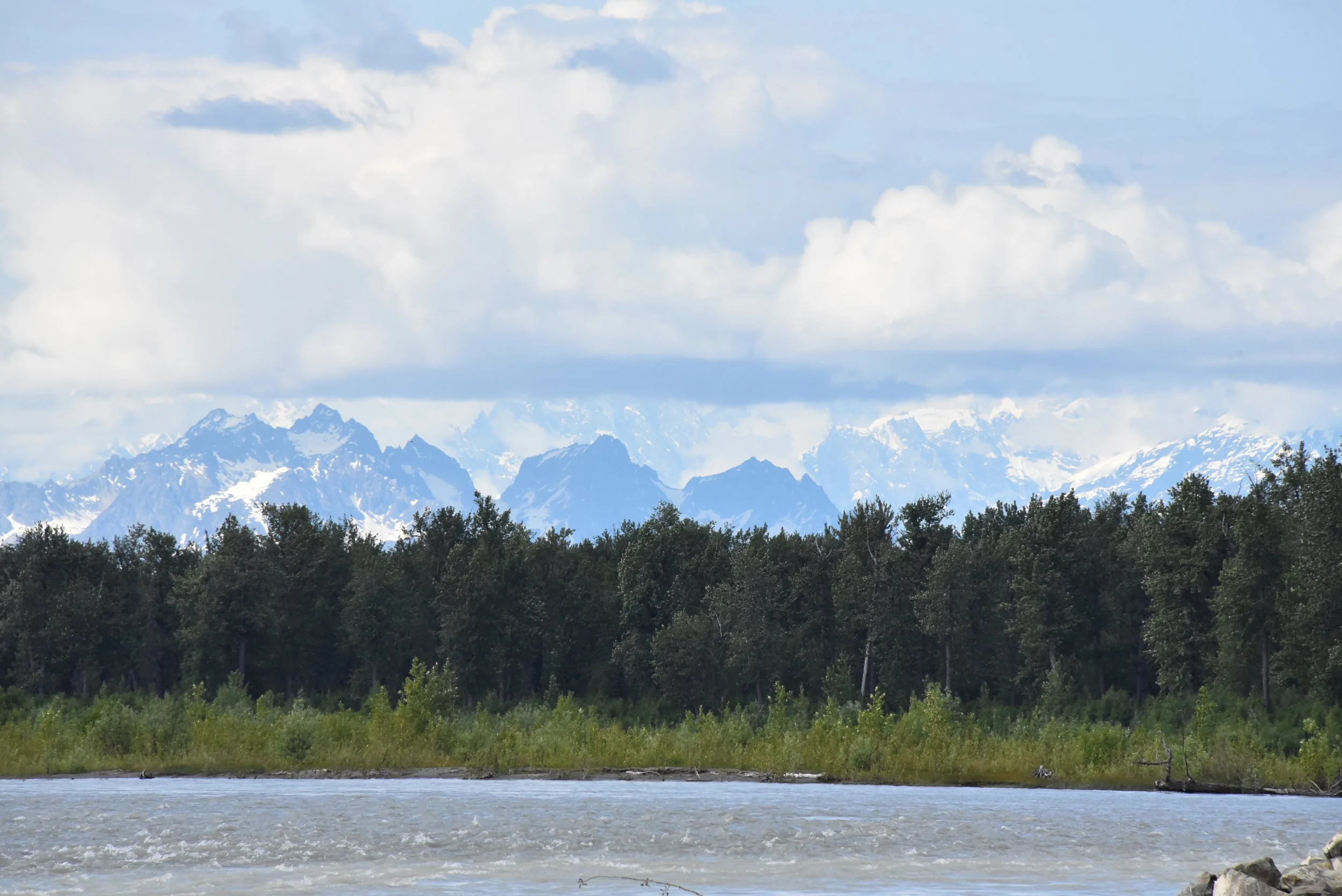 DSC_0392.JPG