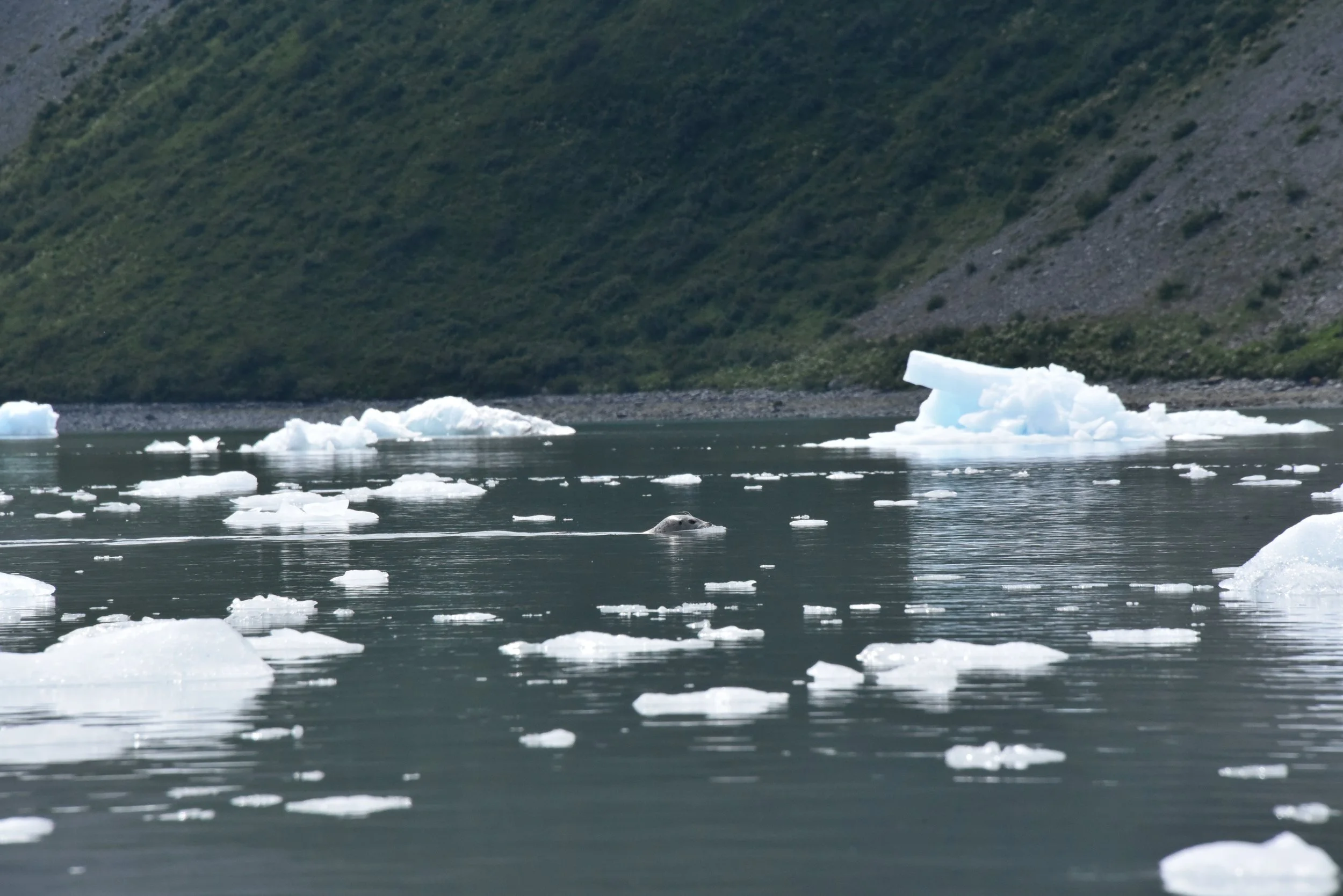 DSC_1848.JPG