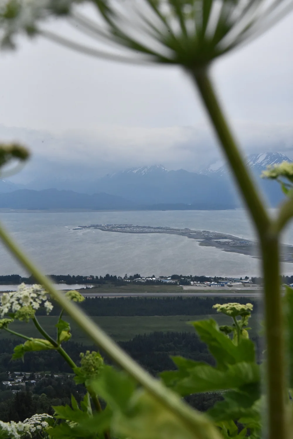 Homer Alaska View