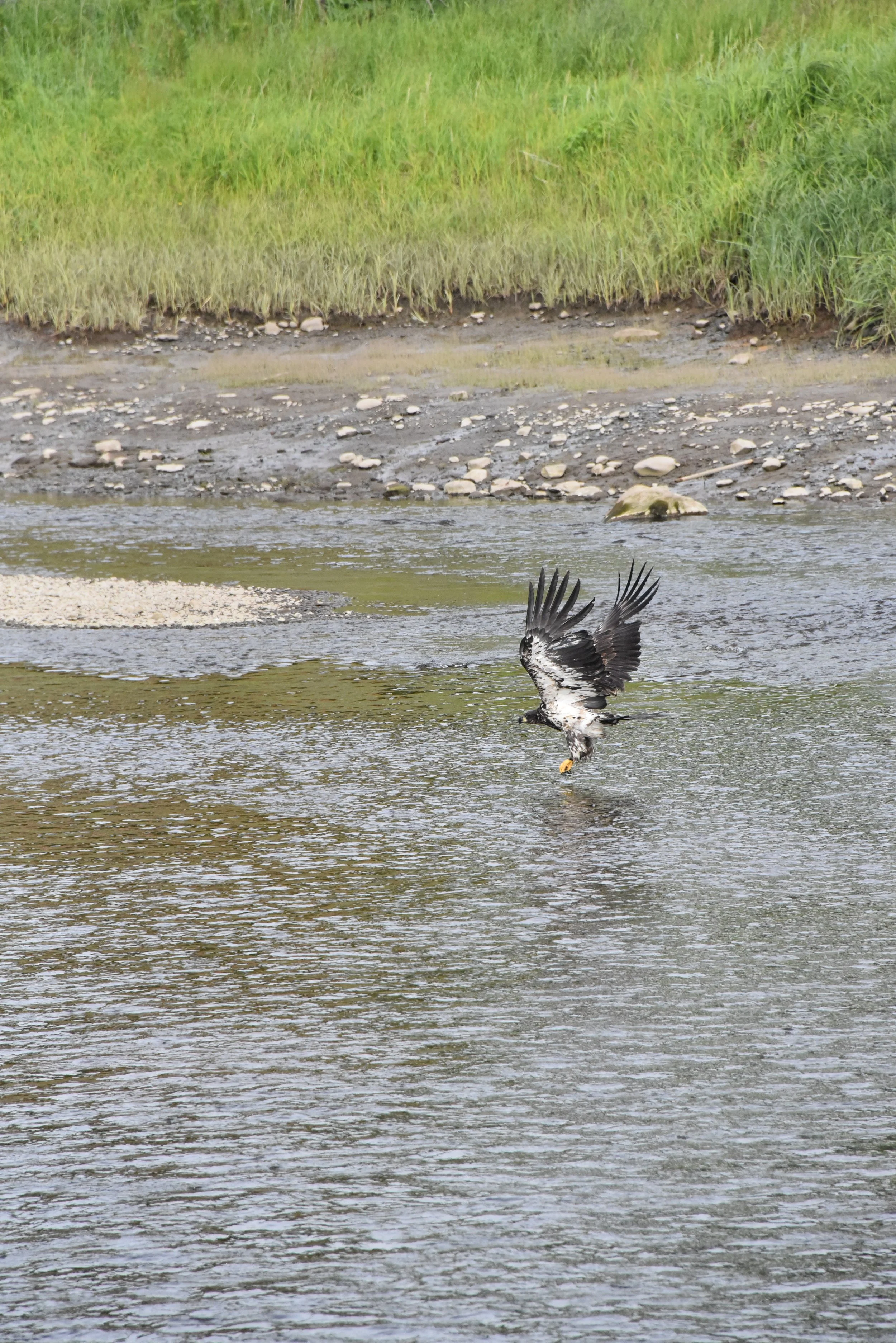 DSC_2174.JPG