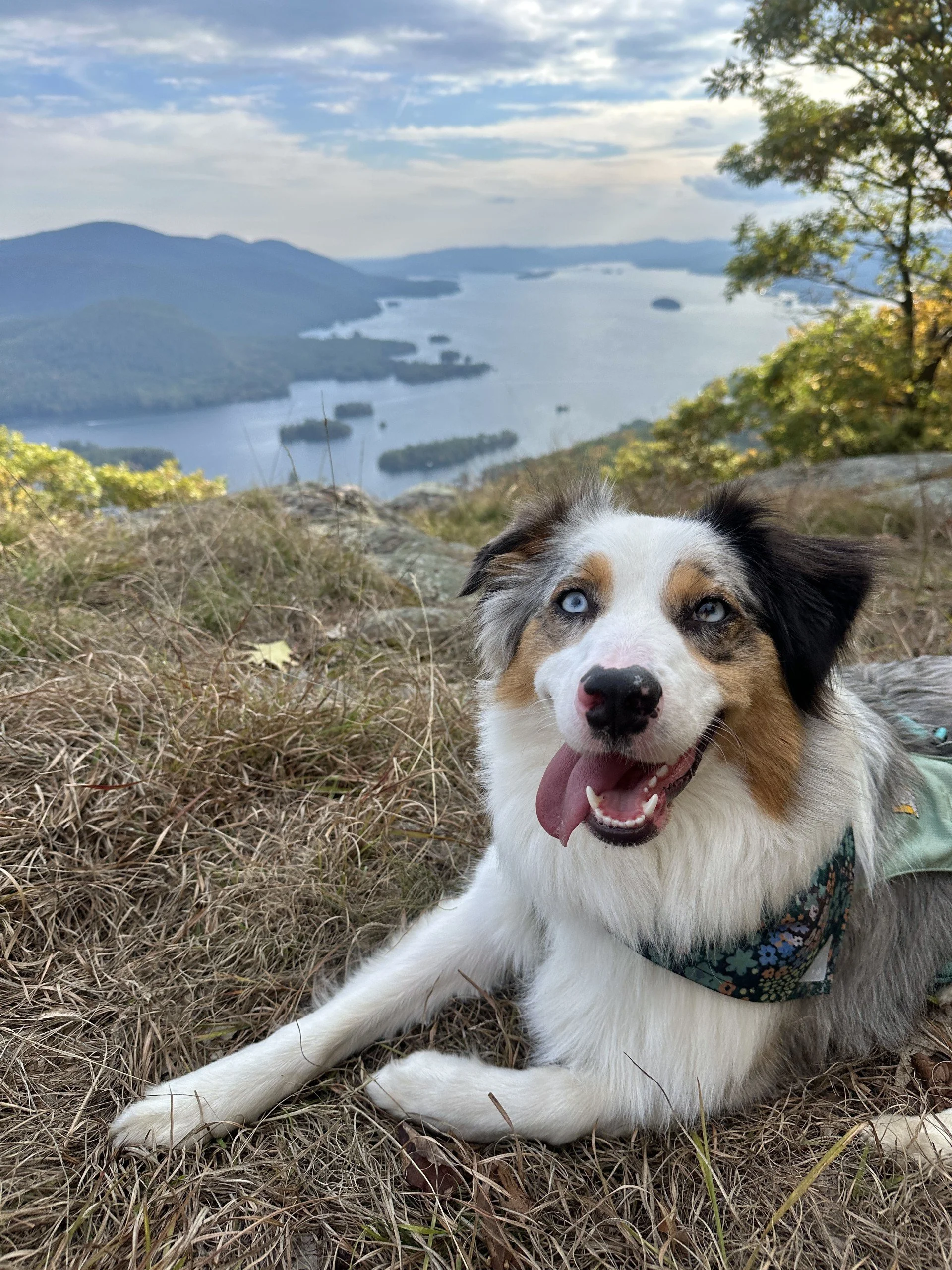 tongue out tongue range.jpg