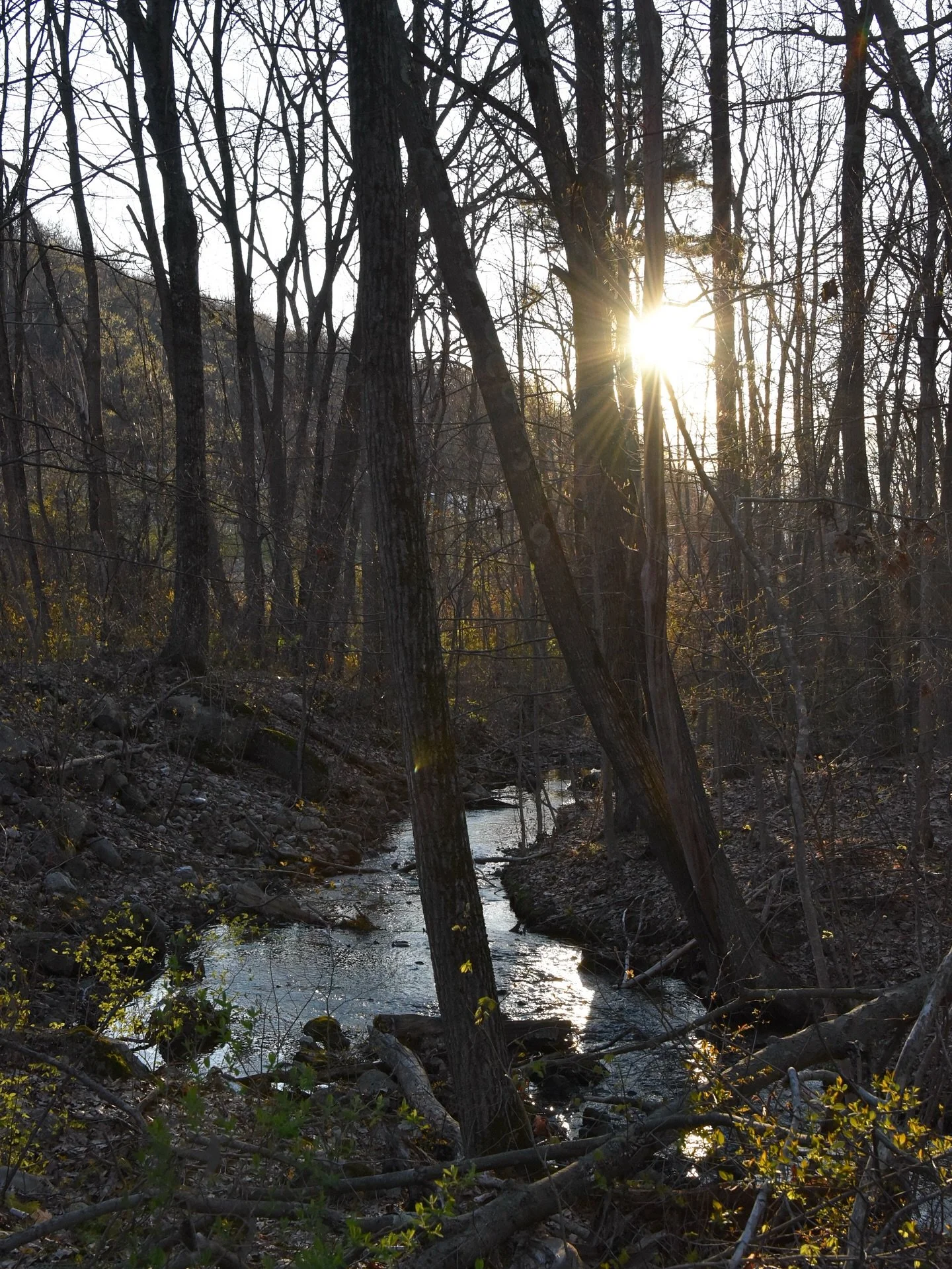 Back at it in the Berkshires with this short and spicy trail to a serene spot: Upper Goose Pond.

Finally got to see where the Becket highway sign leads, and got a close up of the all-too-familiar Berkshires welcome sign that I pass every time I head