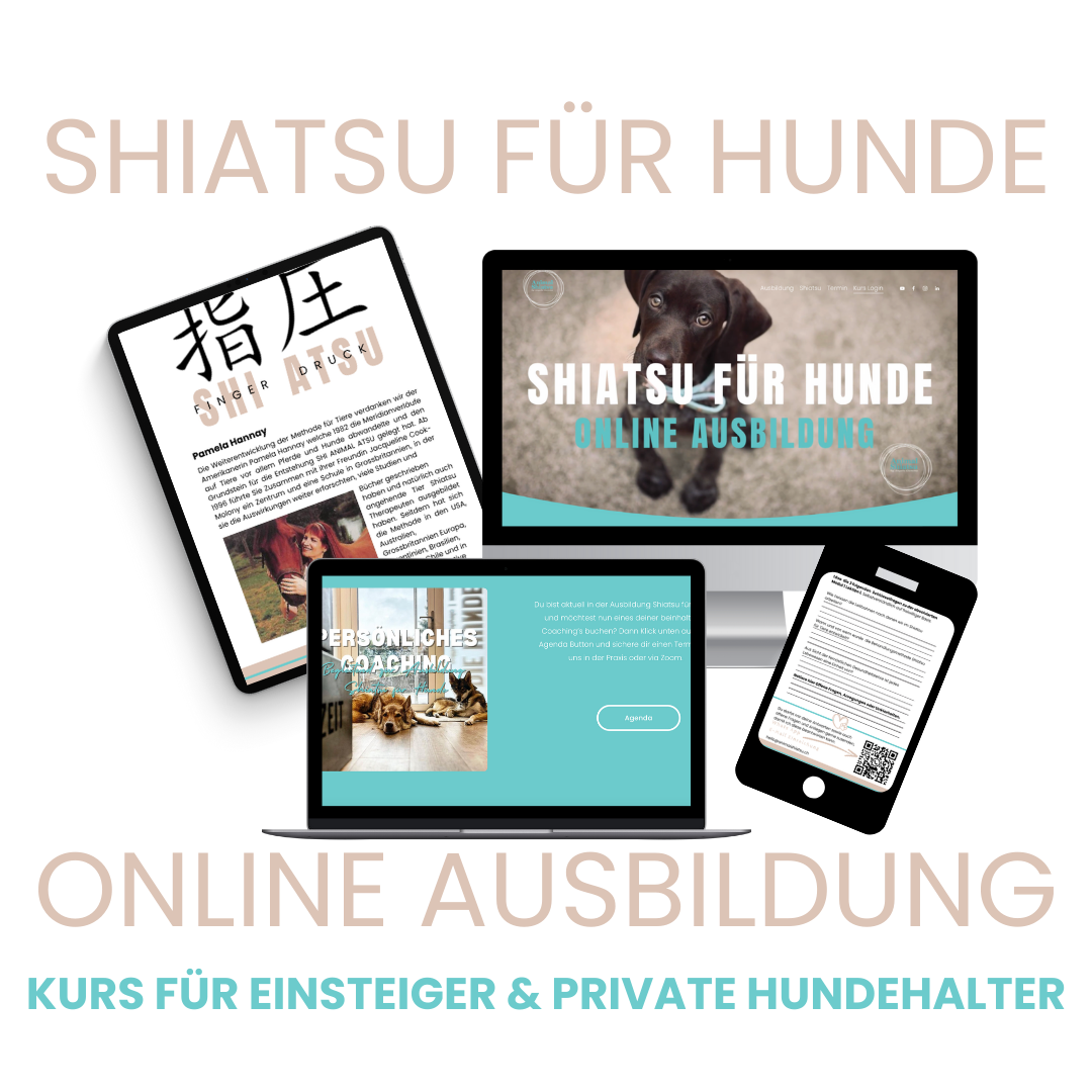 FREISTELLER-ONLINE-AUSBILDUNG-SHIATSU-FÜR-HUNDE-ANIMAL-SHIATSU (1).png
