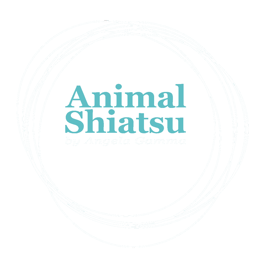 Animal Shiatsu by Angela Gamma