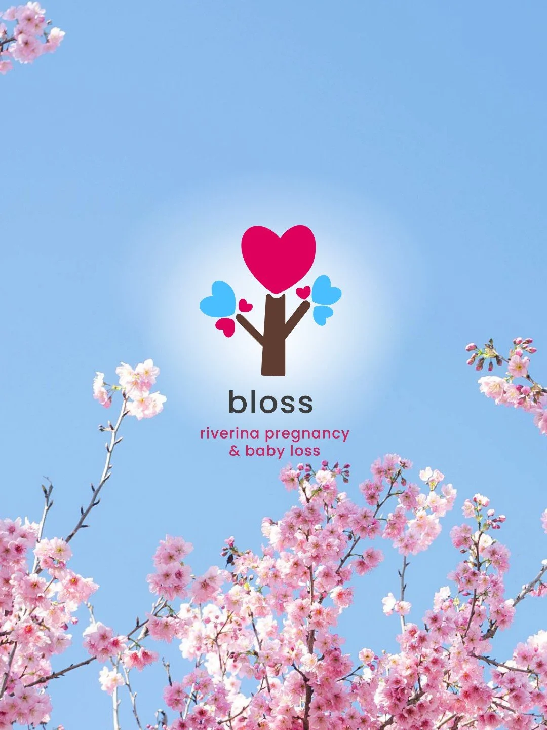 🌸 We&rsquo;re excited to celebrate our anniversary with Katie and the dedicated committee members behind Bloss.

Bloss provides vital support, care and resources to local families navigating pregnancy and infant loss across the Riverina, a truly ess