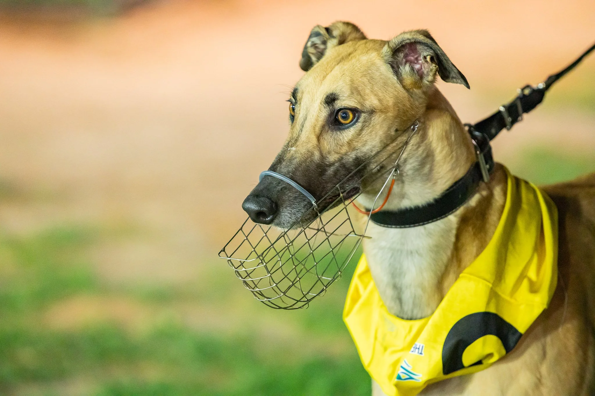 20240511_DZP_0060_RACE 5.jpg