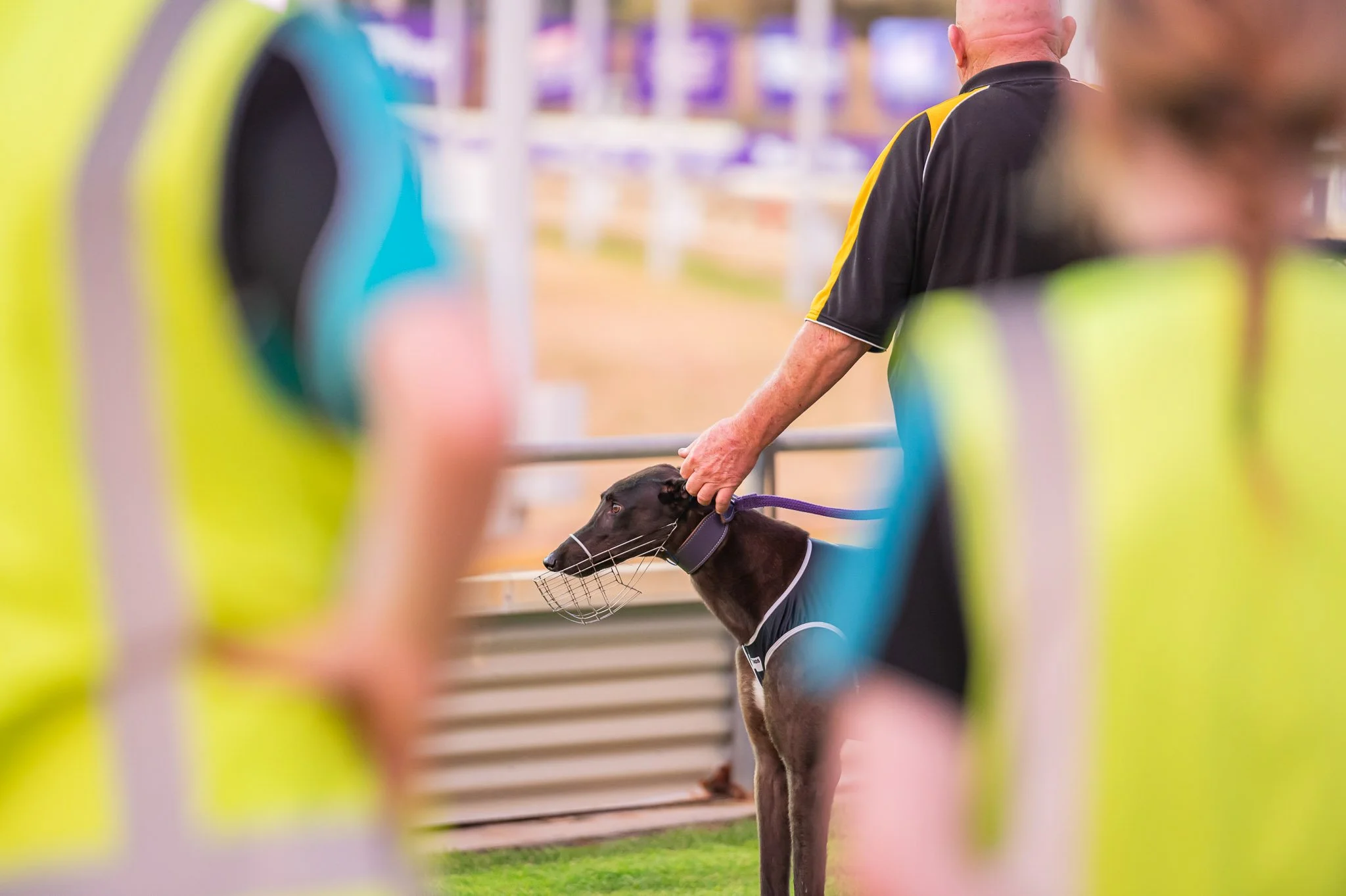 20231230_DZP_0016_RACE 2.jpg