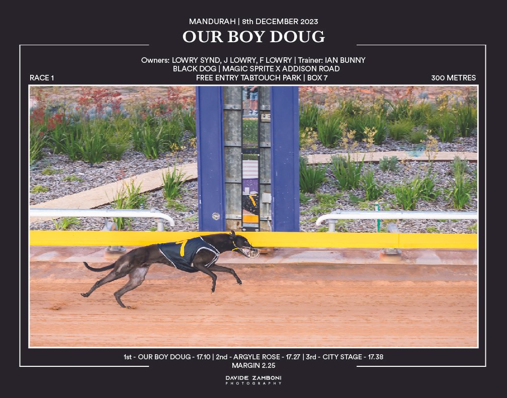 20231212_11X14_OURBOYDOUG_V2_Artboard 72-72_Artboard 72-72.jpg