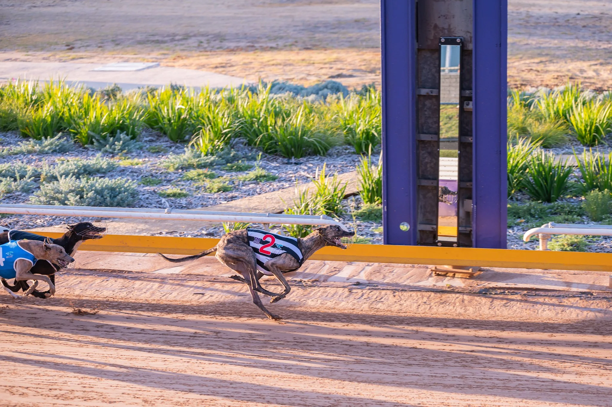 20240126_DZP_0002_RACE 1_QUEST FOR POWER.jpg