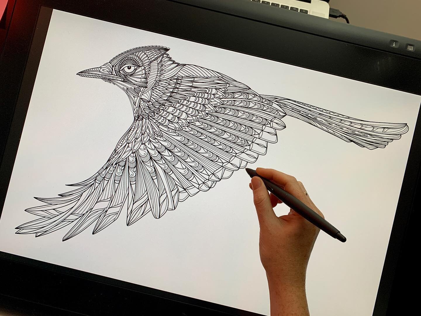 ☀️ Just finished up a line art drawing of one of my favourite backyard birds, the Blue Jay! 🐦.
.
.
#art #artoftheday #artist #canadianartist #photoshop #adobecreativecloud #illustration #patterns #digitalart #dailyart #instartist #wacom #bluejays #b