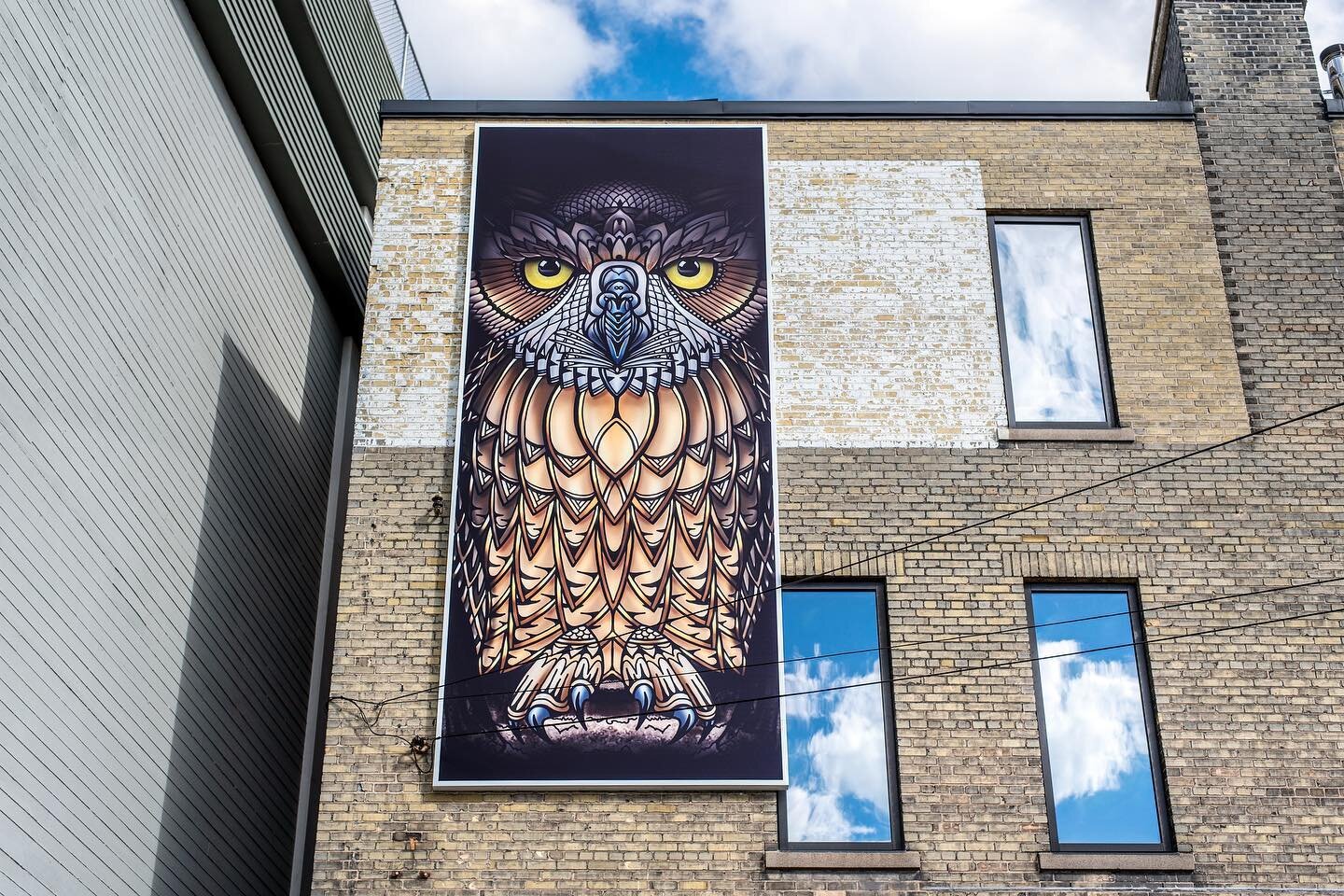 Our newest Great-Horned Owl mural is up in the @dtkitchener! 🦉 Thank you to the Downtown Kitchener BIA, @kwartgallery and @cityofkitchener for their creative vision for ART PROJECT 2020, bringing public art to all ☀️ There are many new artworks comi