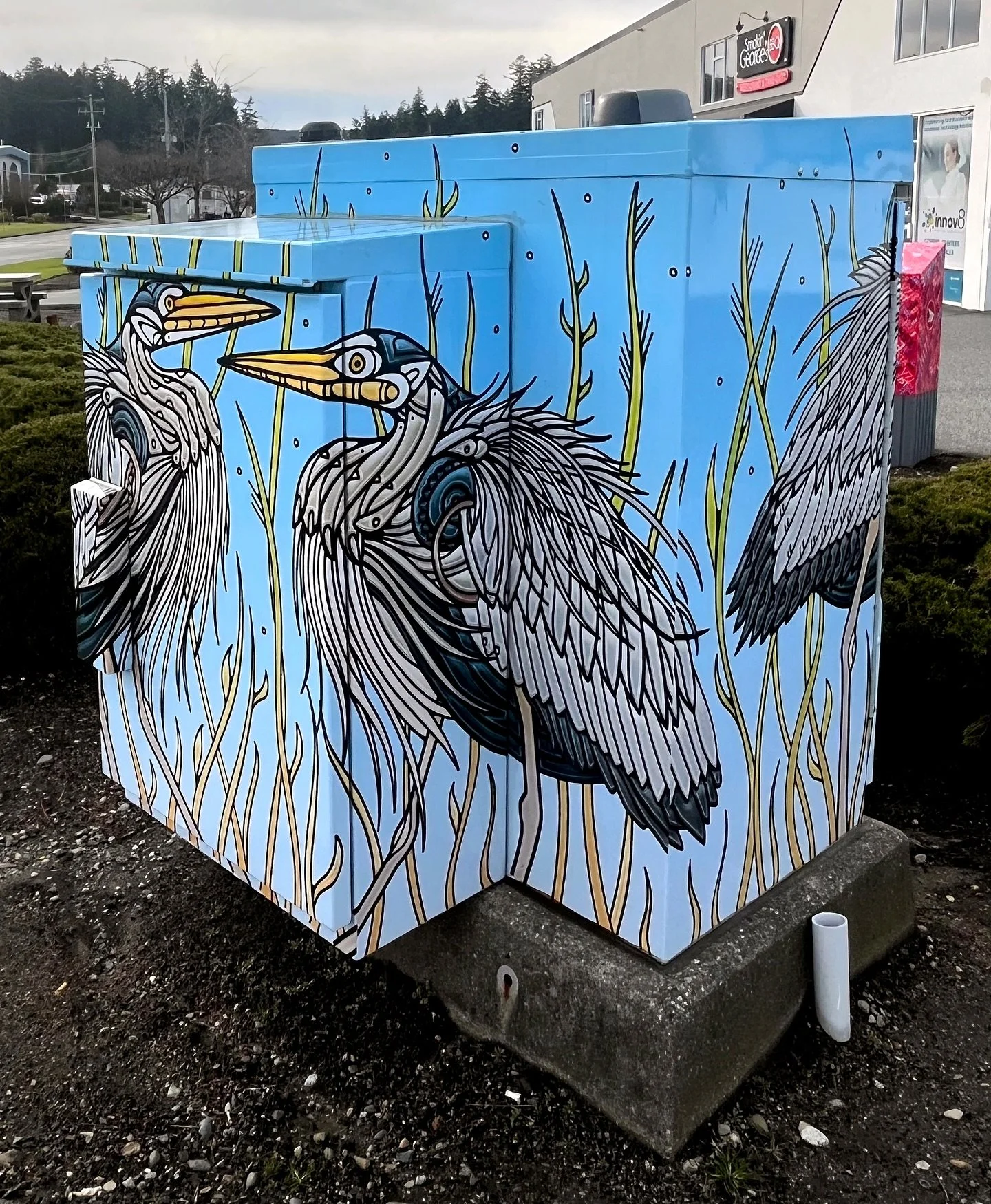 We are so excited to have partnered with the @cityofnanaimo to illustrate these beautiful utility box wraps, located just outside of @smokingeorgesbbq! Check &lsquo;em out at 4131 Mostar Rd, Nanaimo, and celebrate the local Great Blue Heron! 🐦 #nana