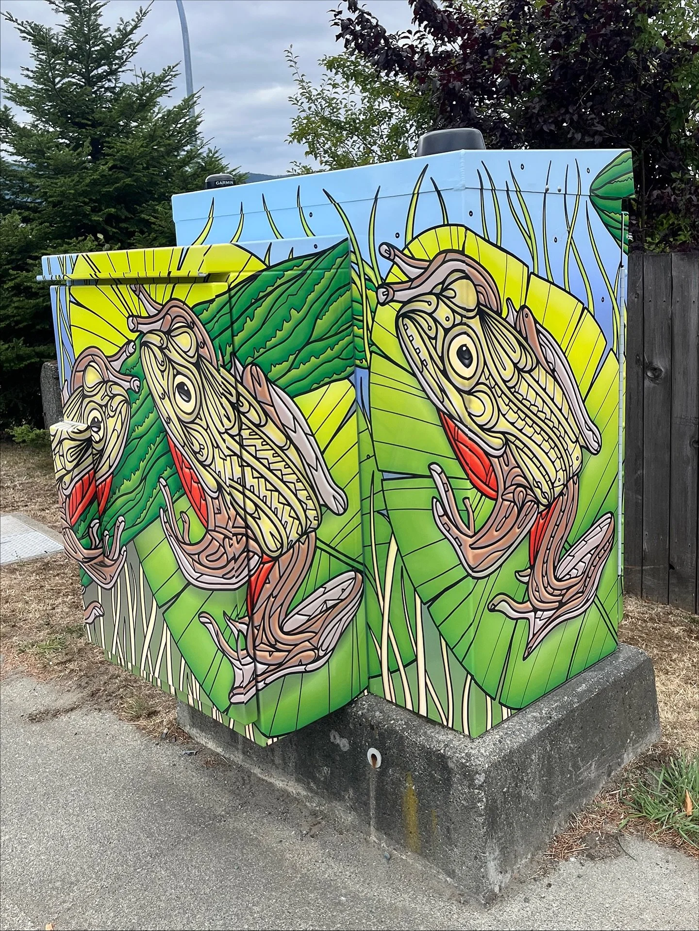 We are so excited to have partnered with the @cityofnanaimo to illustrate these beautiful new utility box wraps! Check &lsquo;em out at Hammond Bay Rd at Turner Rd. and Rutherford Rd, Nanaimo, and celebrate the local Northern red-legged frog (Rana au