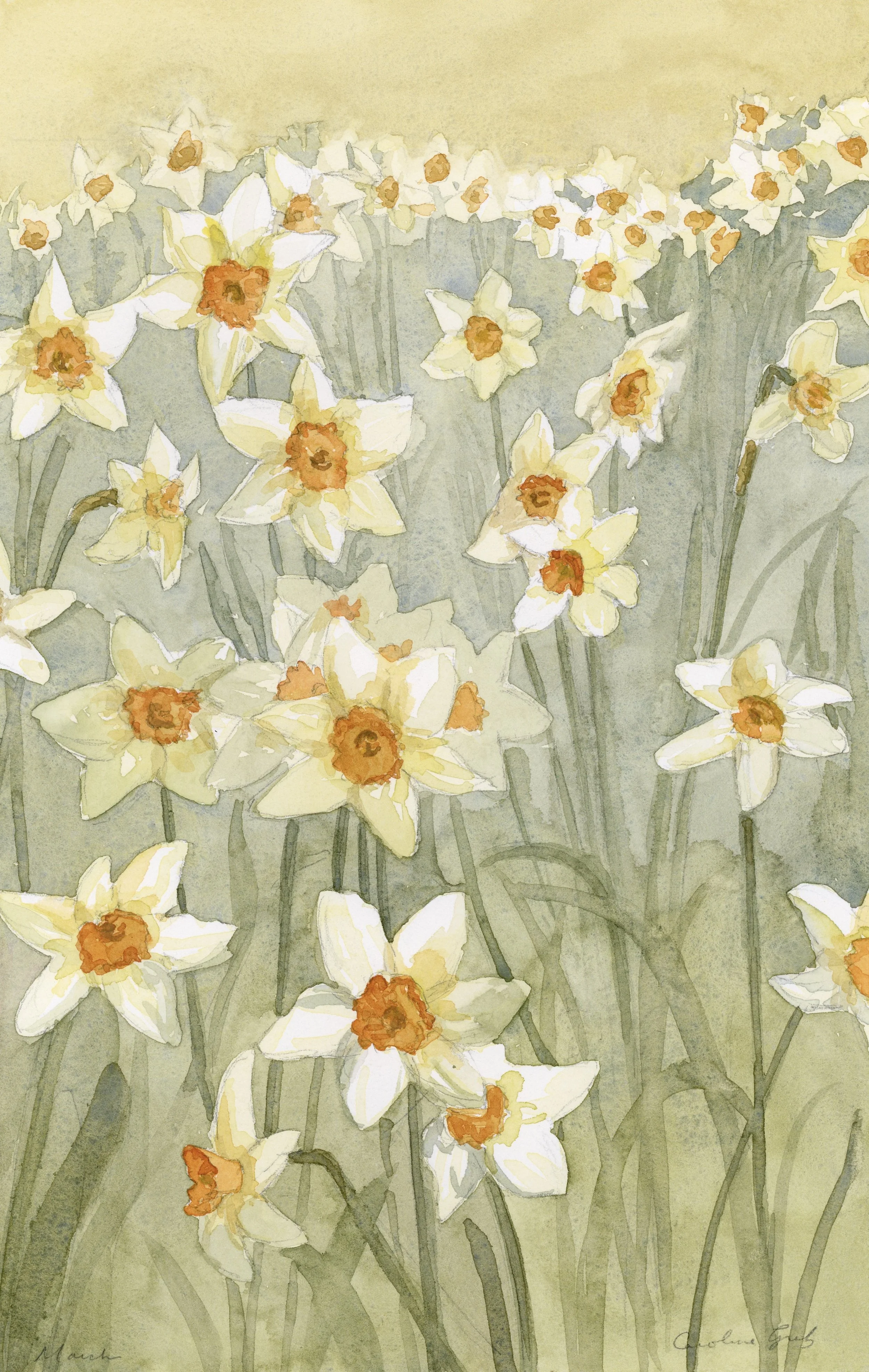 Birth Flower III: March Daffodils