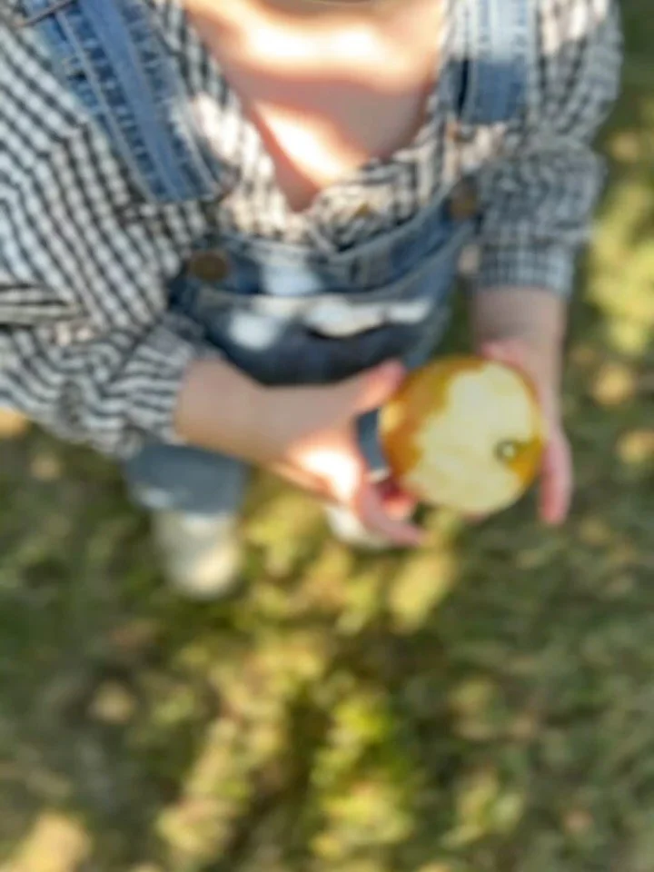 Some recent moments of magic on my camera roll: 
1. Perfect dappled light and sticky toddler fingers 🍎
2. Thank you to the kind stranger who took a film photo of me with my kids, the best gift to a mom 🤍 if it doesn’t turn out at least we ha