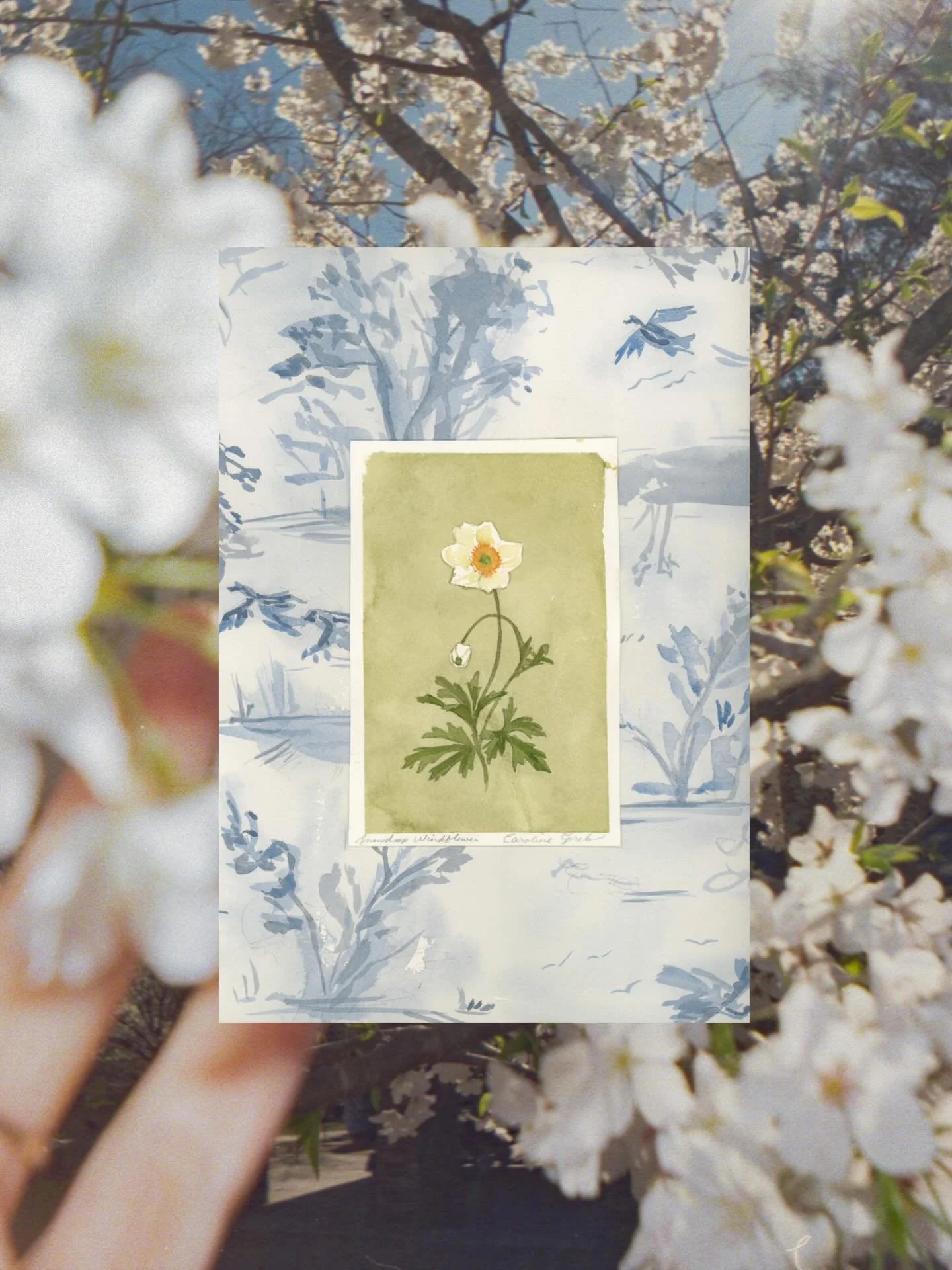 Everything That Has Breathe, Seven. 11x14 watercolors on layered paper. My personal favorite from this collection! Shop the remaining pieces from this floral series over @thecampbellcollective 🤍
I know it’s Autumn and all, but florals are for