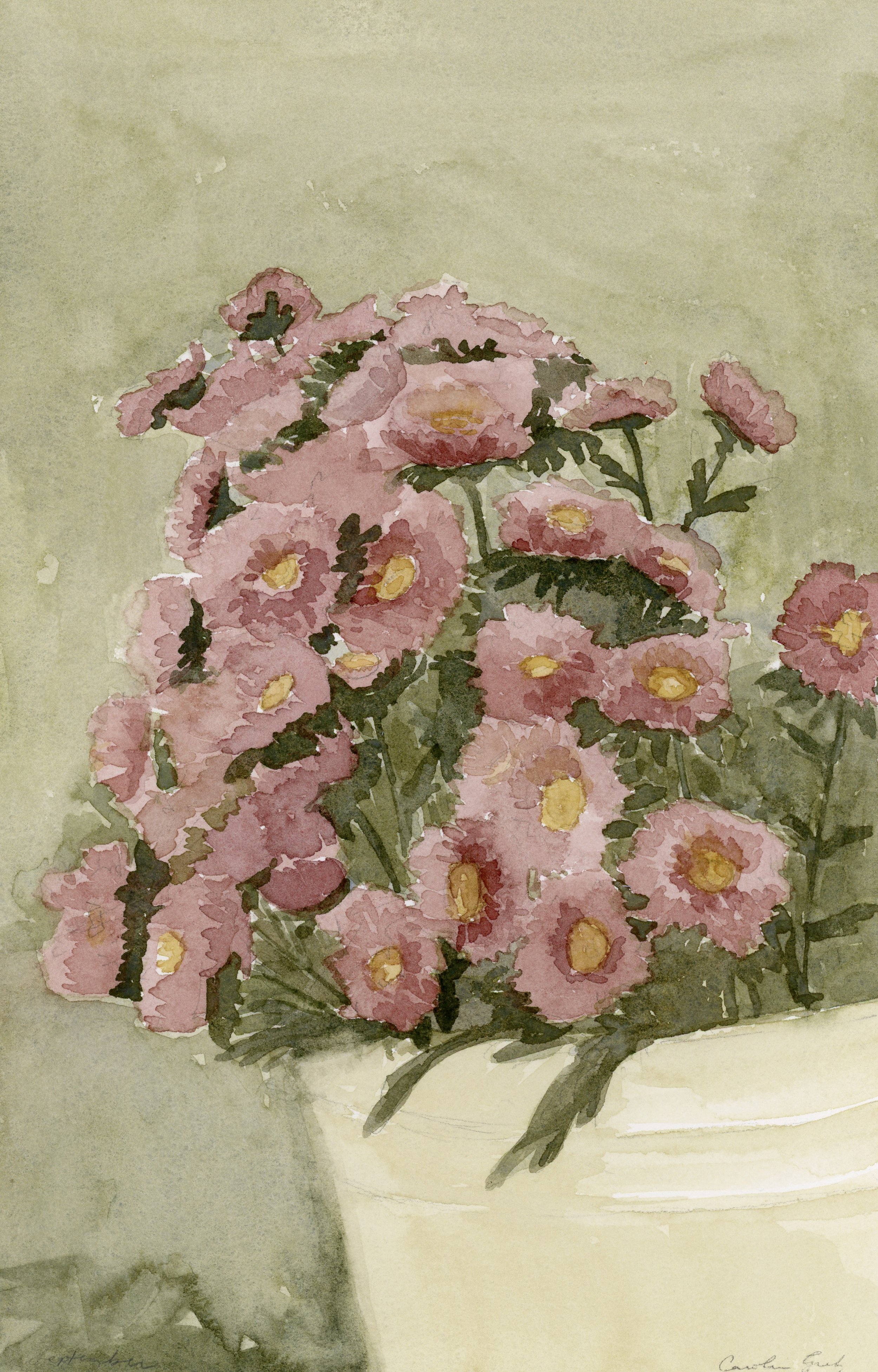 Birth Flower IX: September Asters