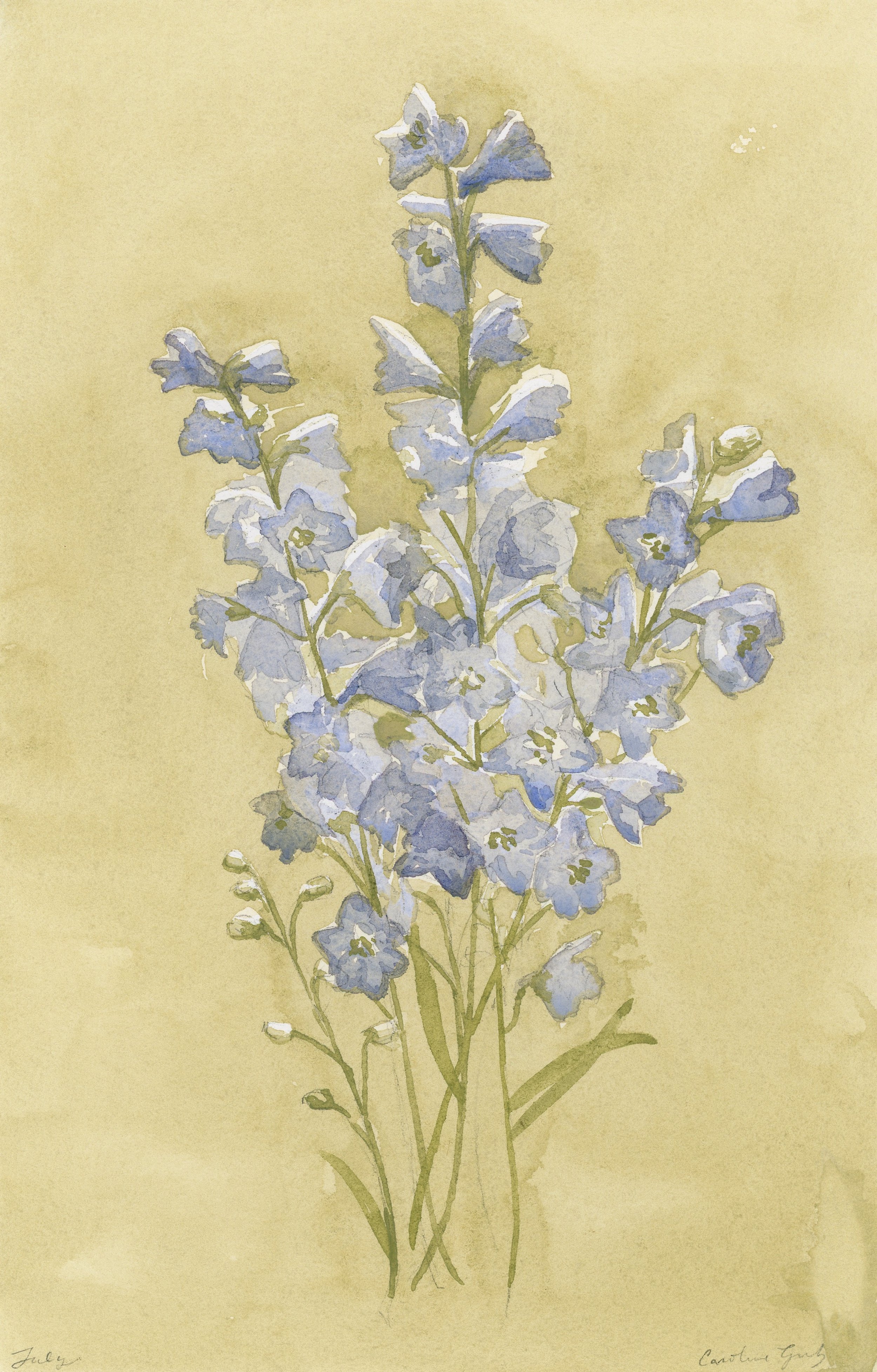 Calendar Painting-14.jpeg