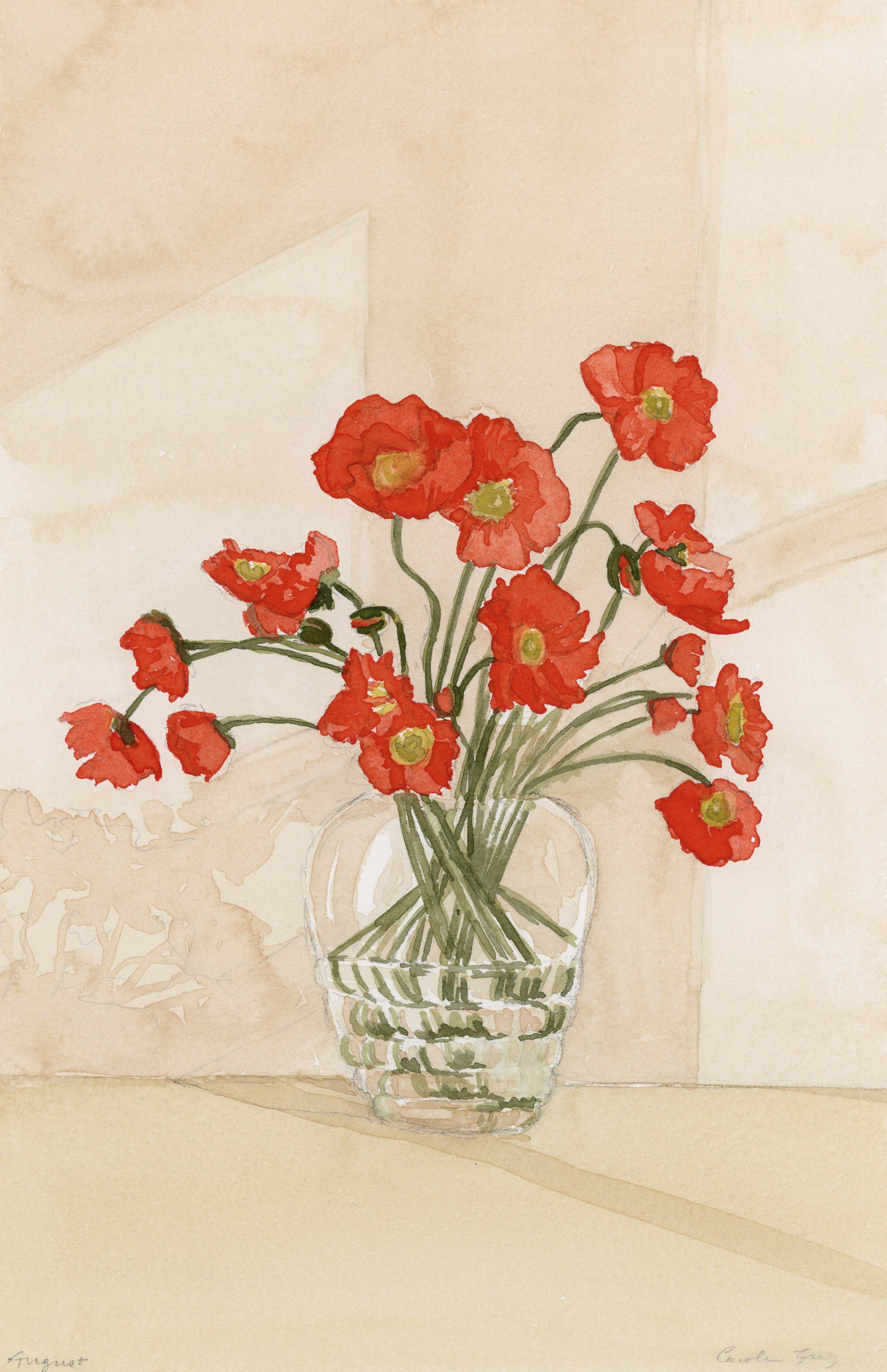 Birth Flower VIII: August Poppies