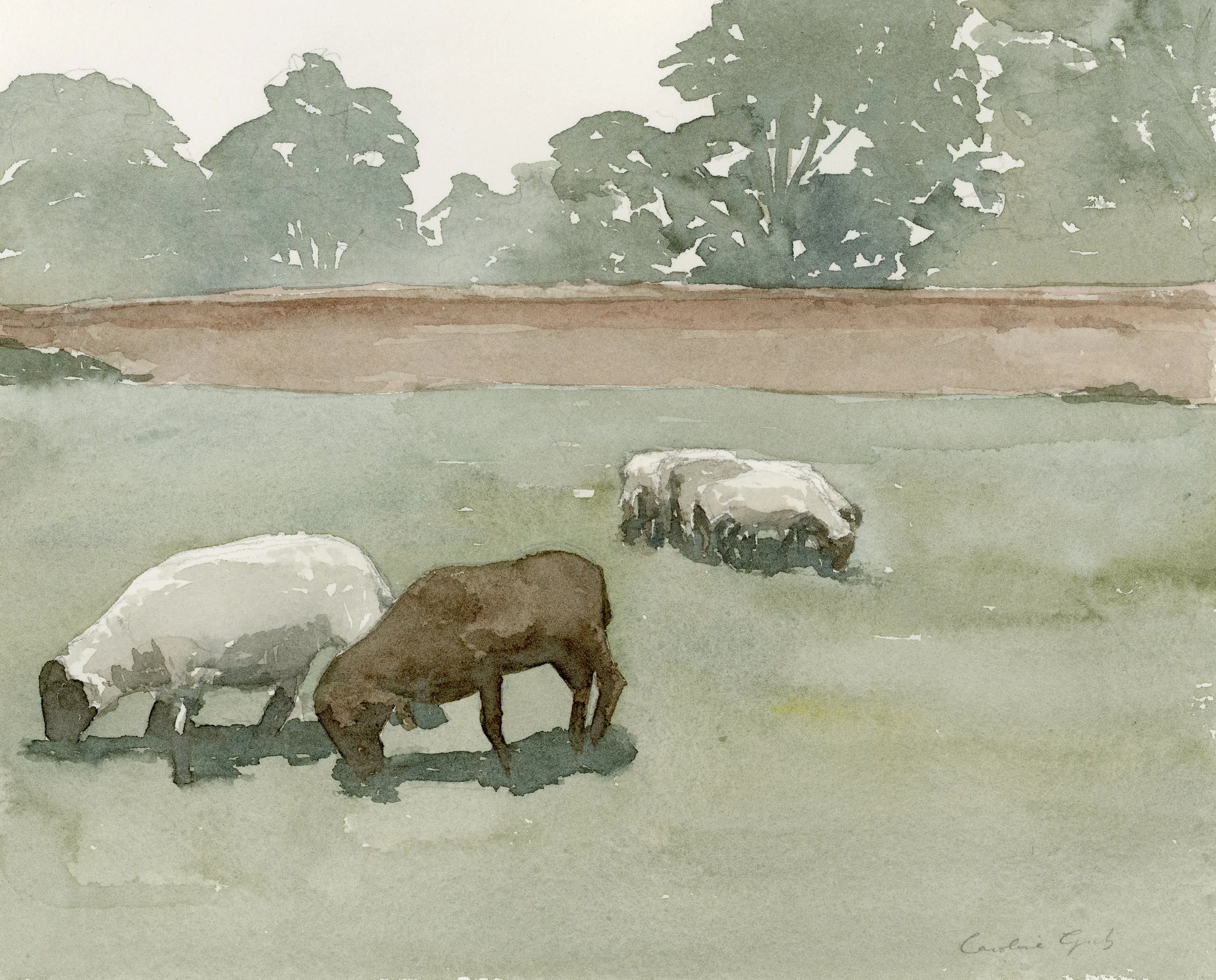 Lambing Season Print