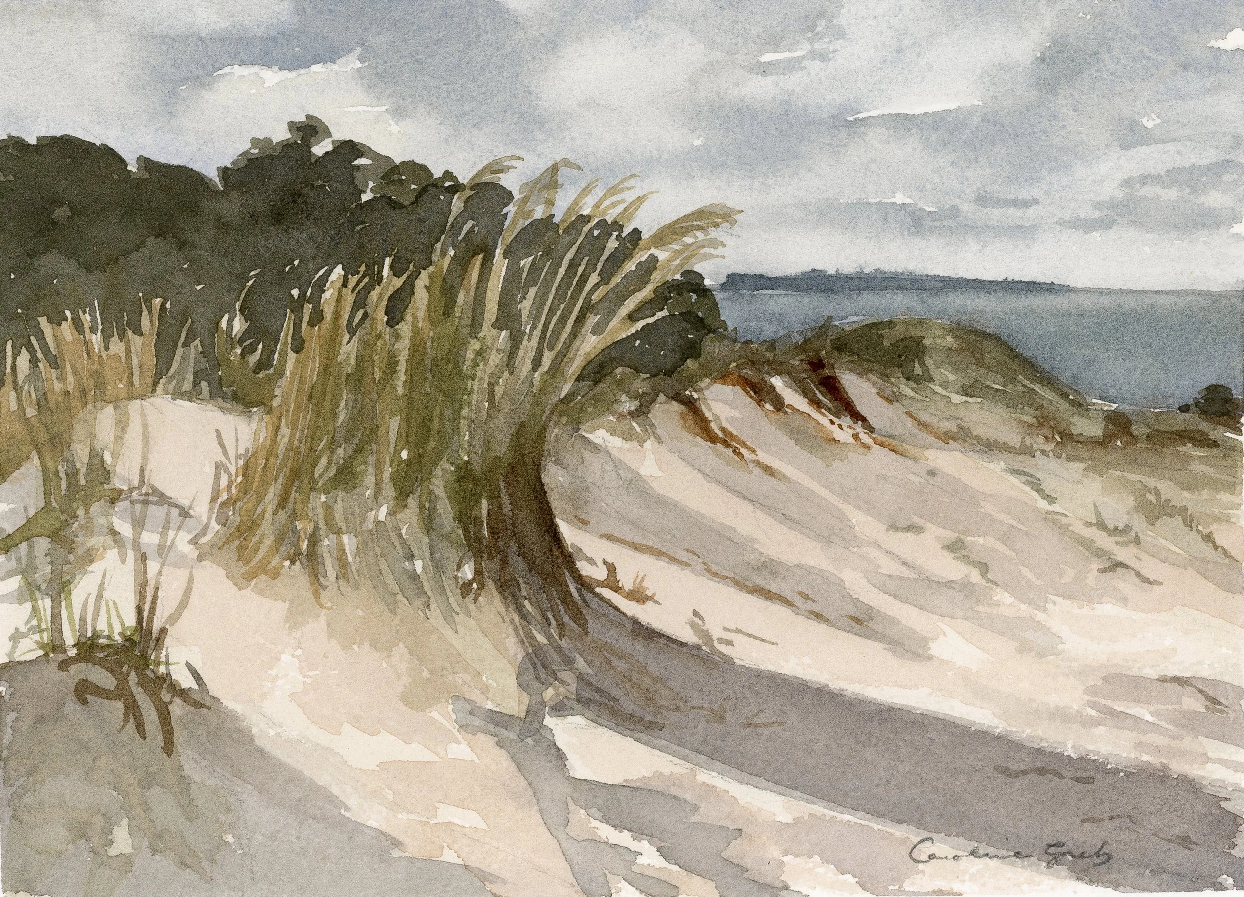 coastal cottage.jpg