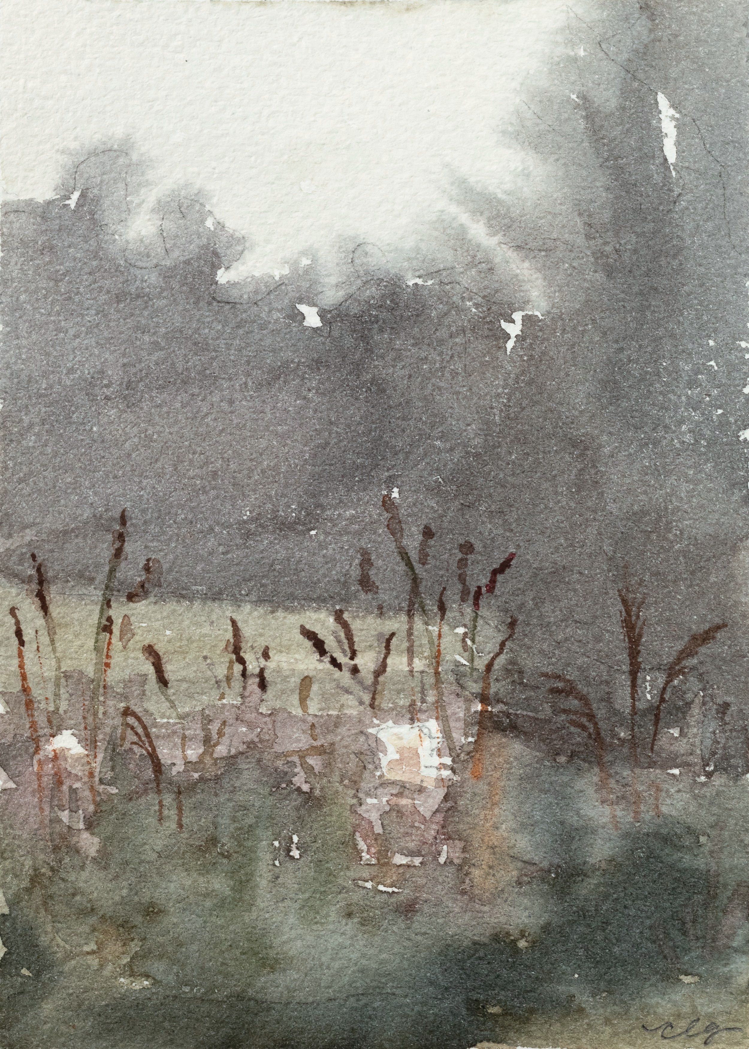 Beginnings