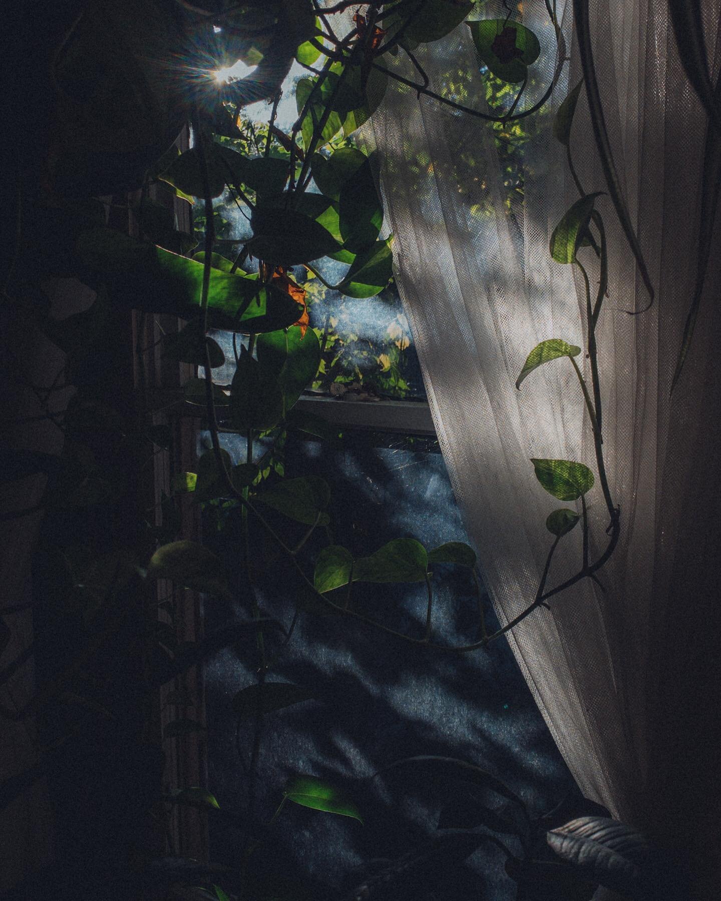good morning
.
.
.
.
.
.
.
.
.
.
.
.
.
#falcon_magazine #photocinematica #saturdaymag # analoguevibes #insomniamag #broadmag #portraits_mf #pursuitofportraits #vscoportrait #tendermagazine #littlerivermag #ourmag #dreamermagazine #taintedmag #n8zine 