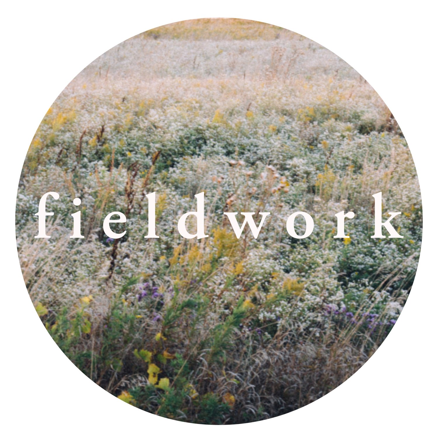fieldwork
