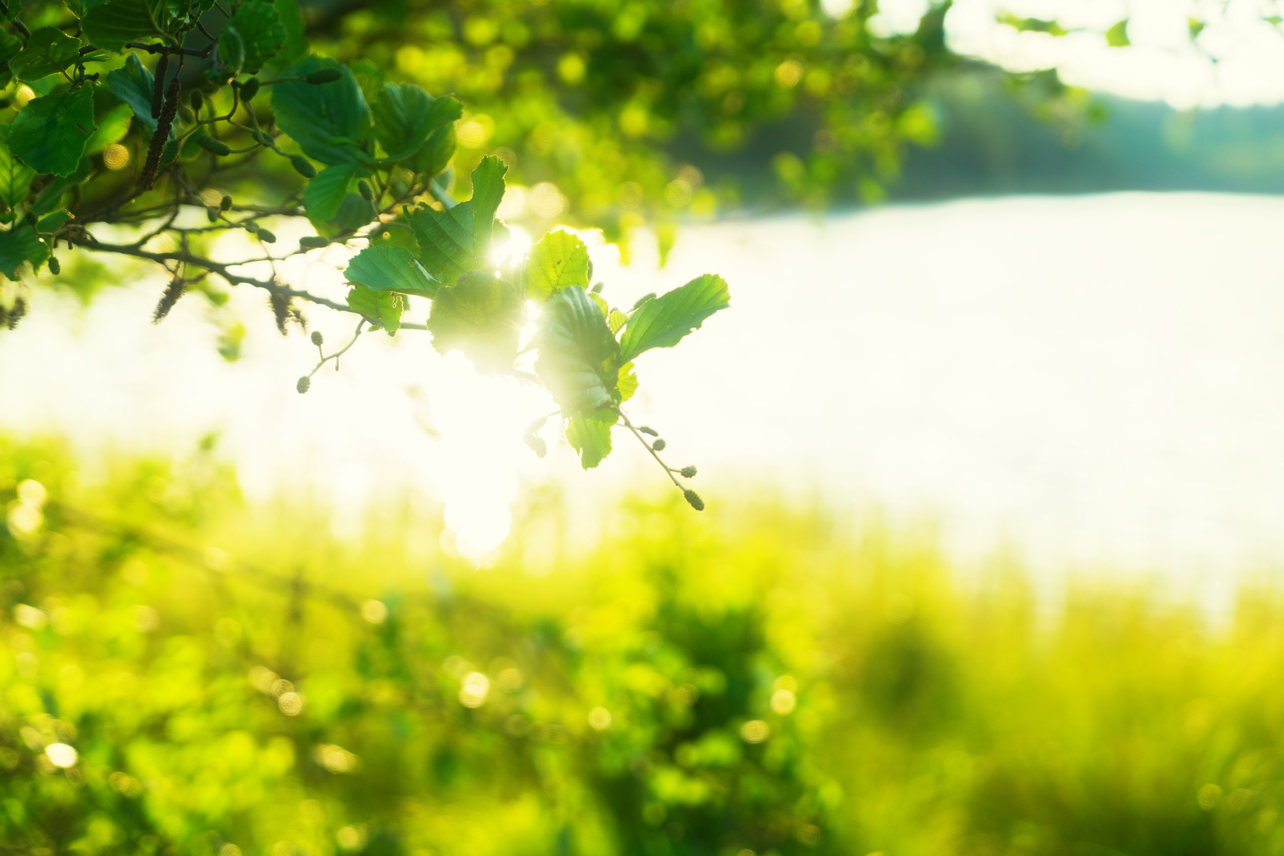 Pourquoi les entreprises misent sur le team building en pleine nature pour prévenir le burn-out