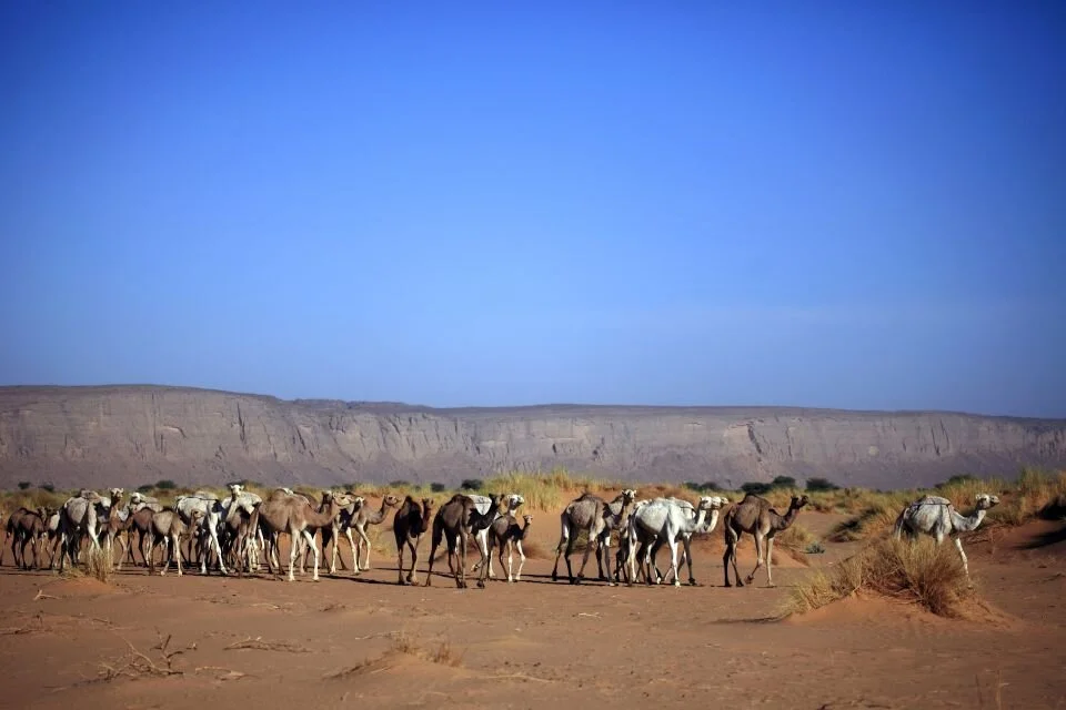 Sahara Desert, Mali