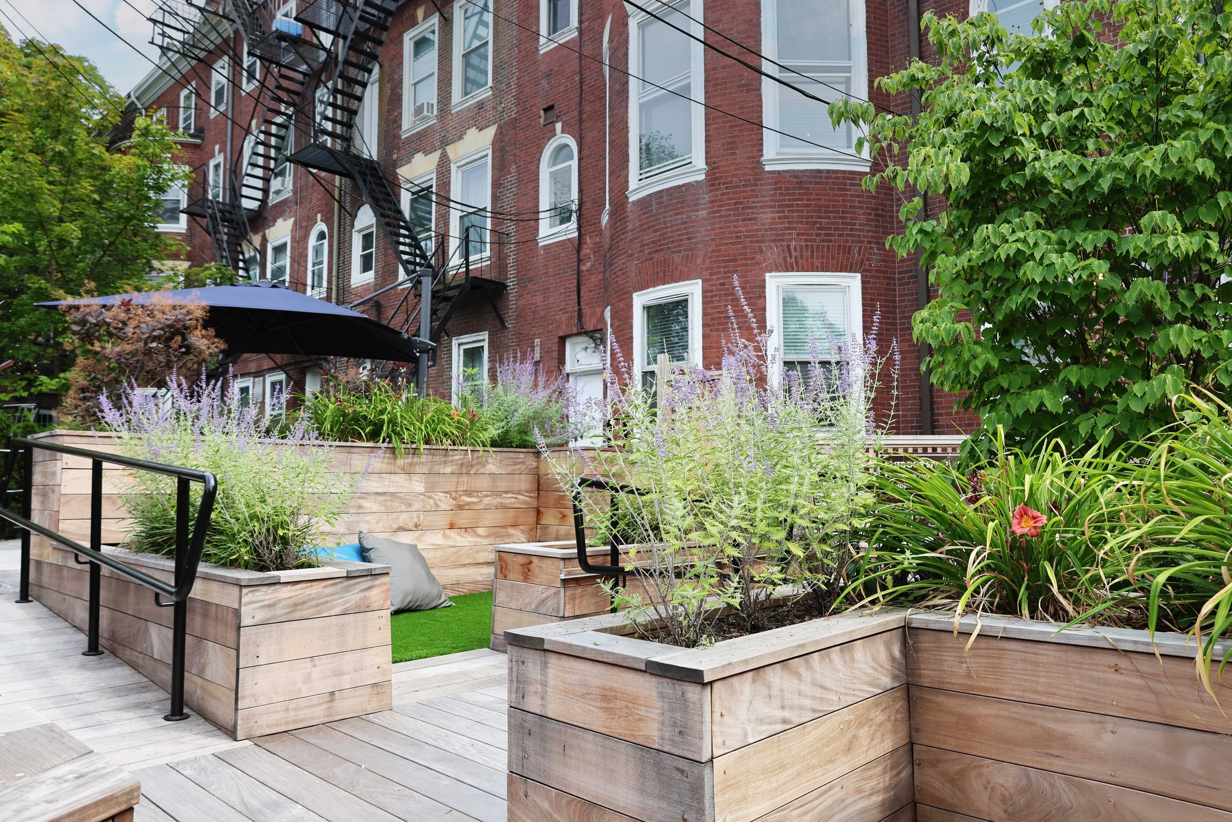 Brookline-Center-for-Community-Mental-Health---Brookline,-MA-(AMA-Photography)-(8).jpg